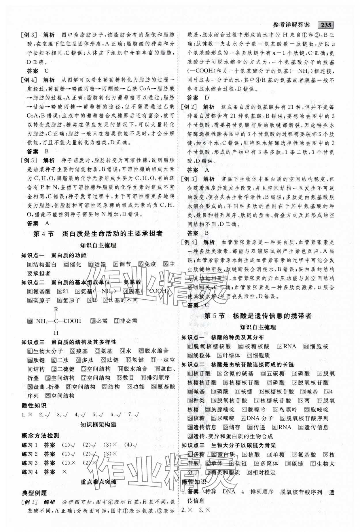 2024年金版教程高中新課程創(chuàng)新導(dǎo)學(xué)案高中生物必修1人教版 參考答案第3頁