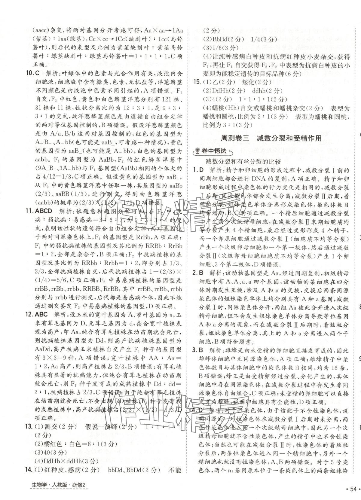 2025年卷霸高中同步測試卷高中生物必修2人教版 第3頁