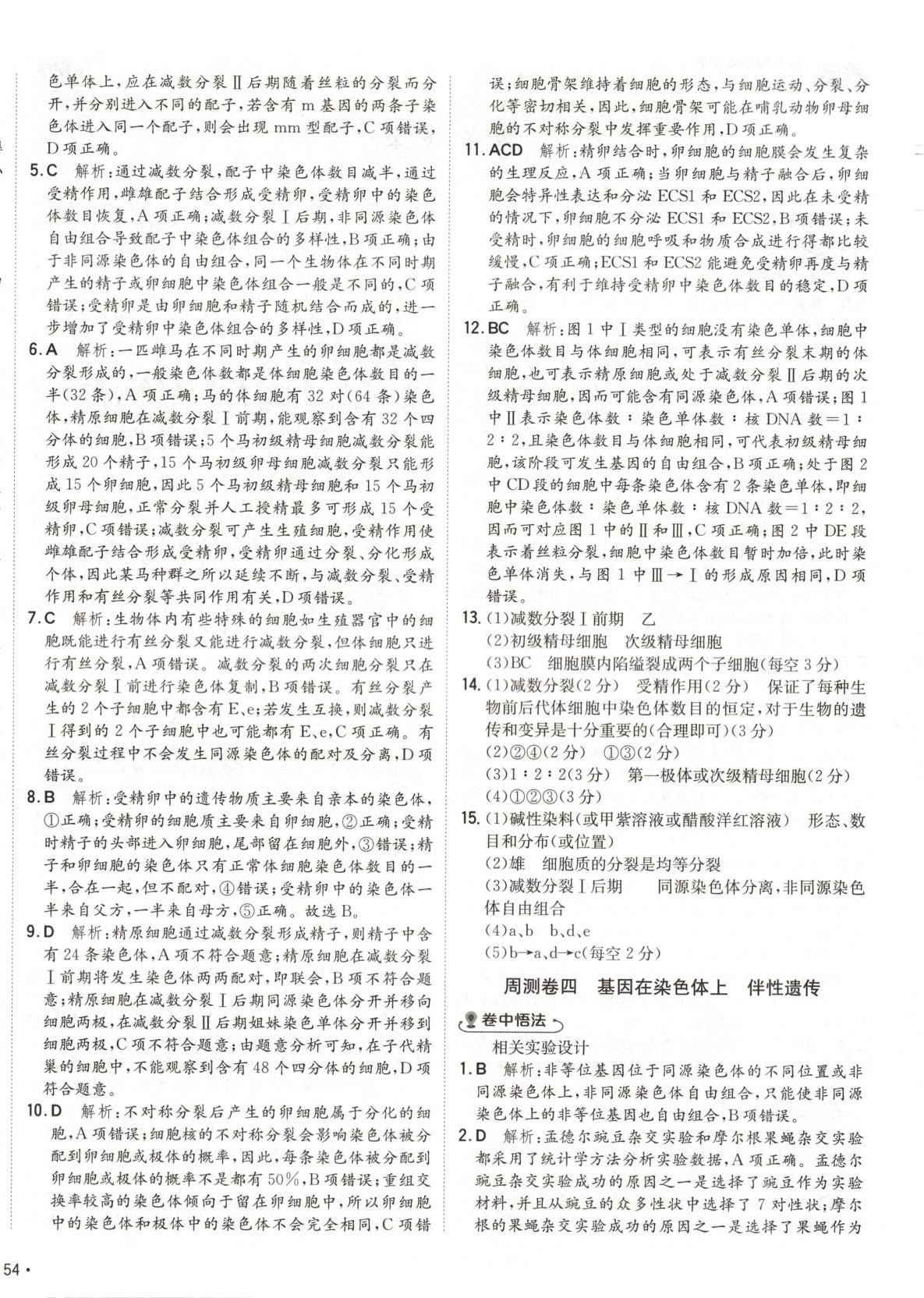 2025年卷霸高中同步測試卷高中生物必修2人教版 第4頁