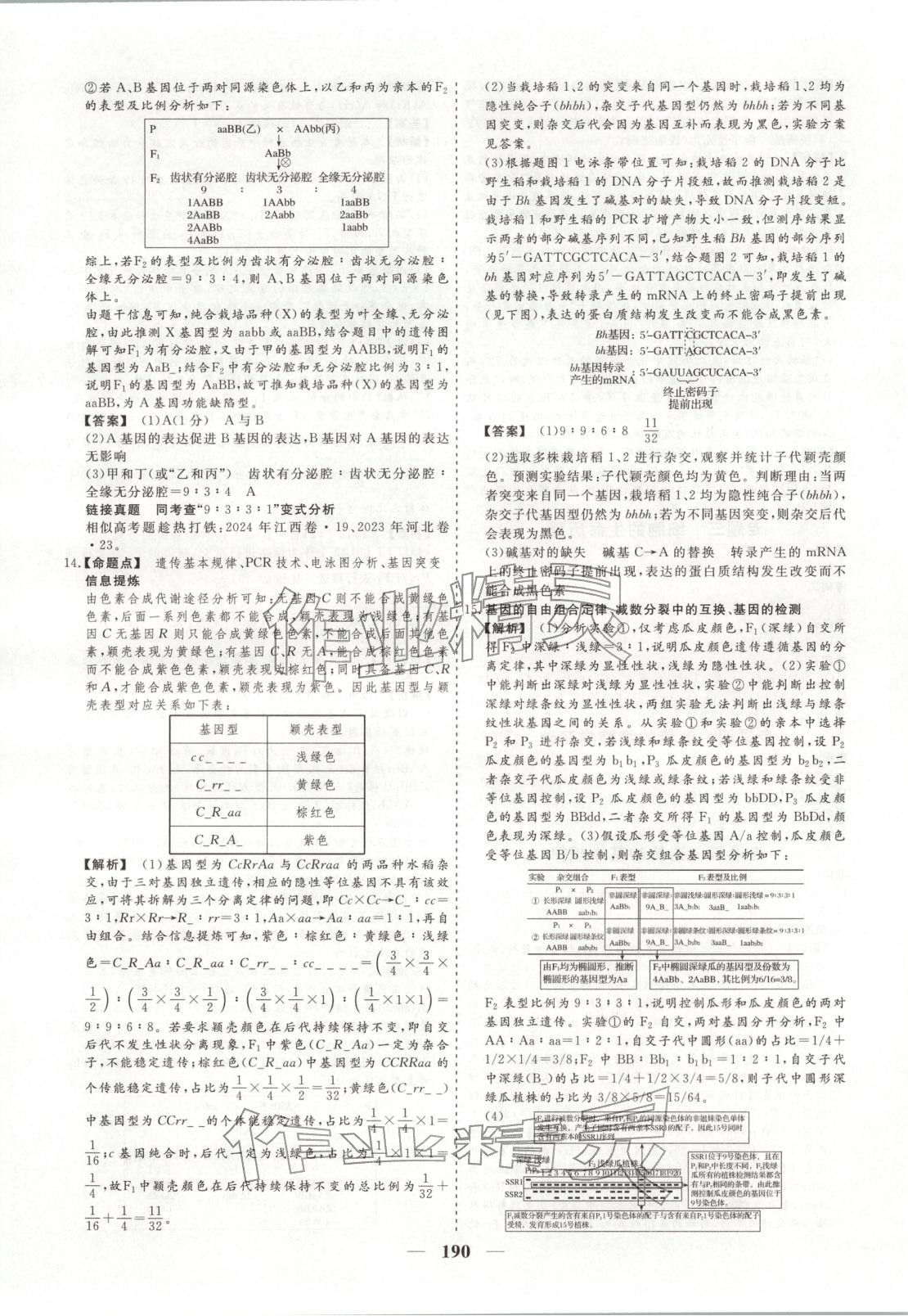 2026年168优化重组卷五年高考真题分类汇编高中生物全一册通用版 第10页