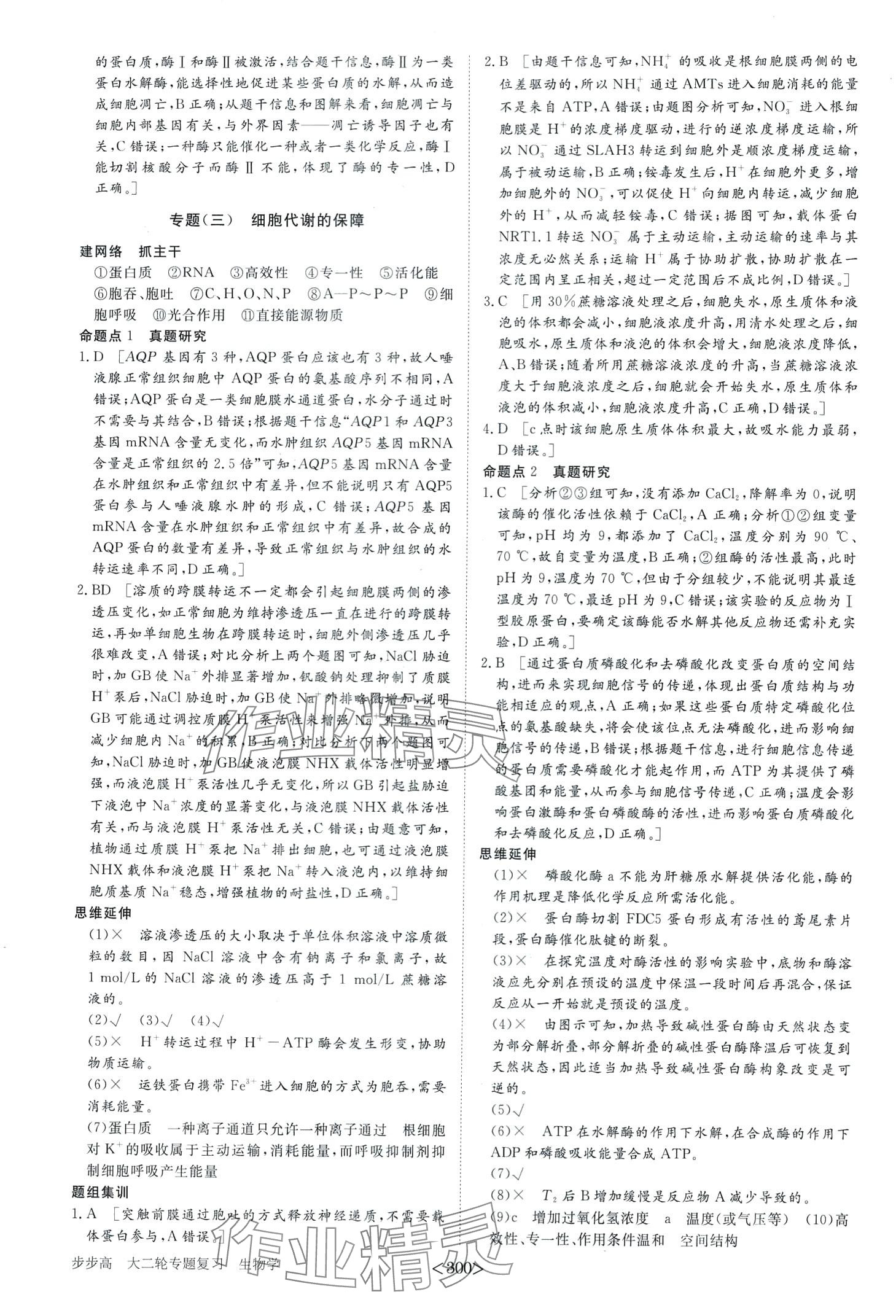 2024年步步高大二輪專題復習高中生物 第4頁