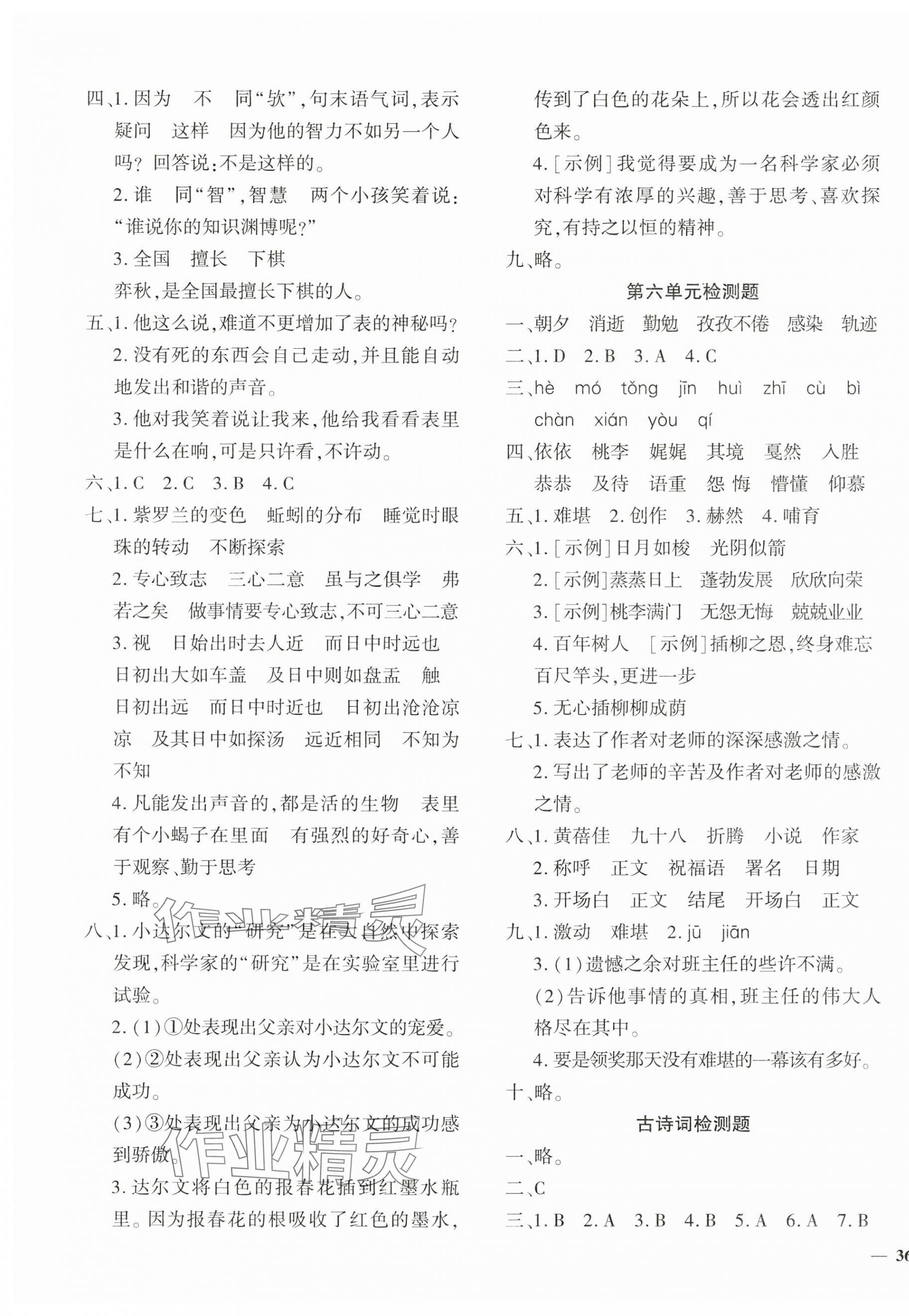 2025年黄冈360度定制密卷六年级语文下册人教版 第3页