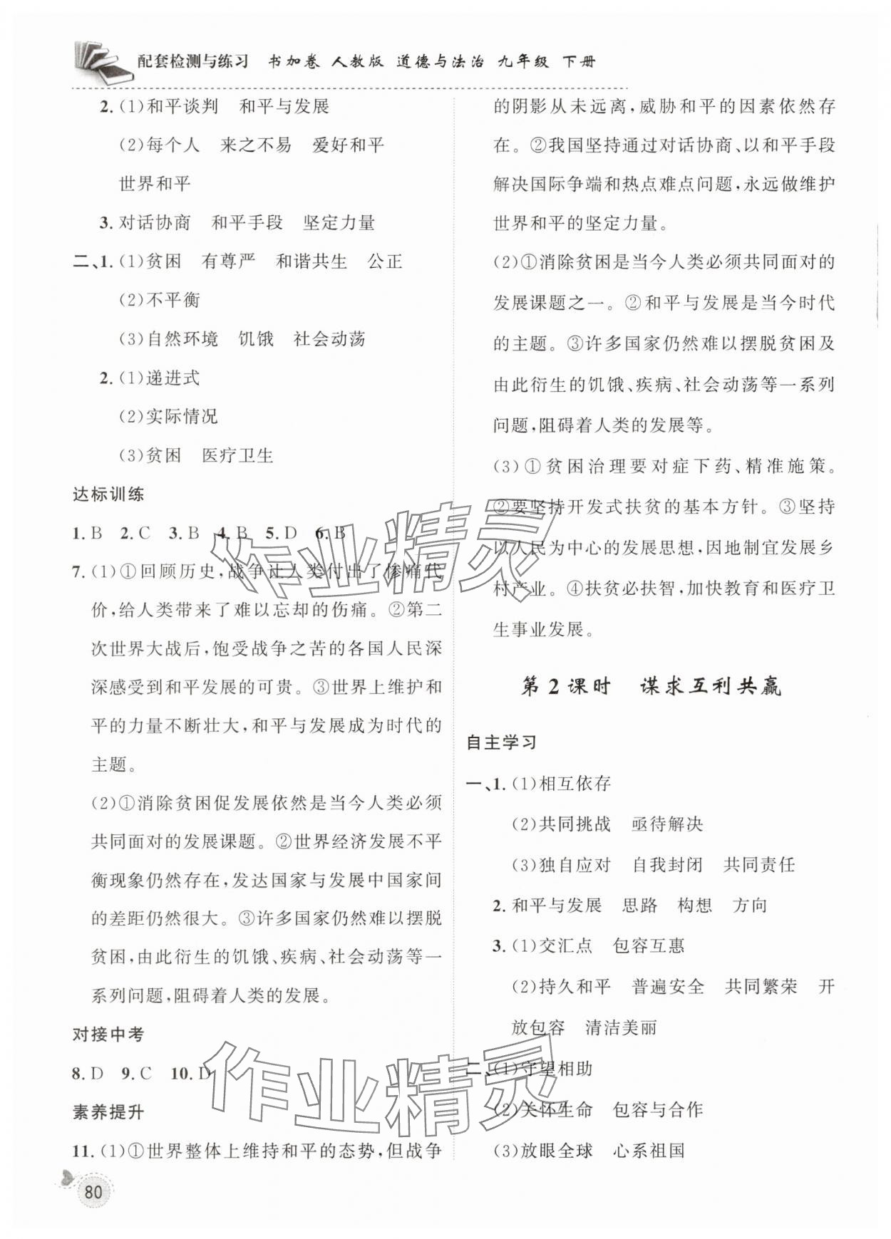 2025年配套檢測與練習(xí)九年級道德與法治下冊人教版 參考答案第3頁