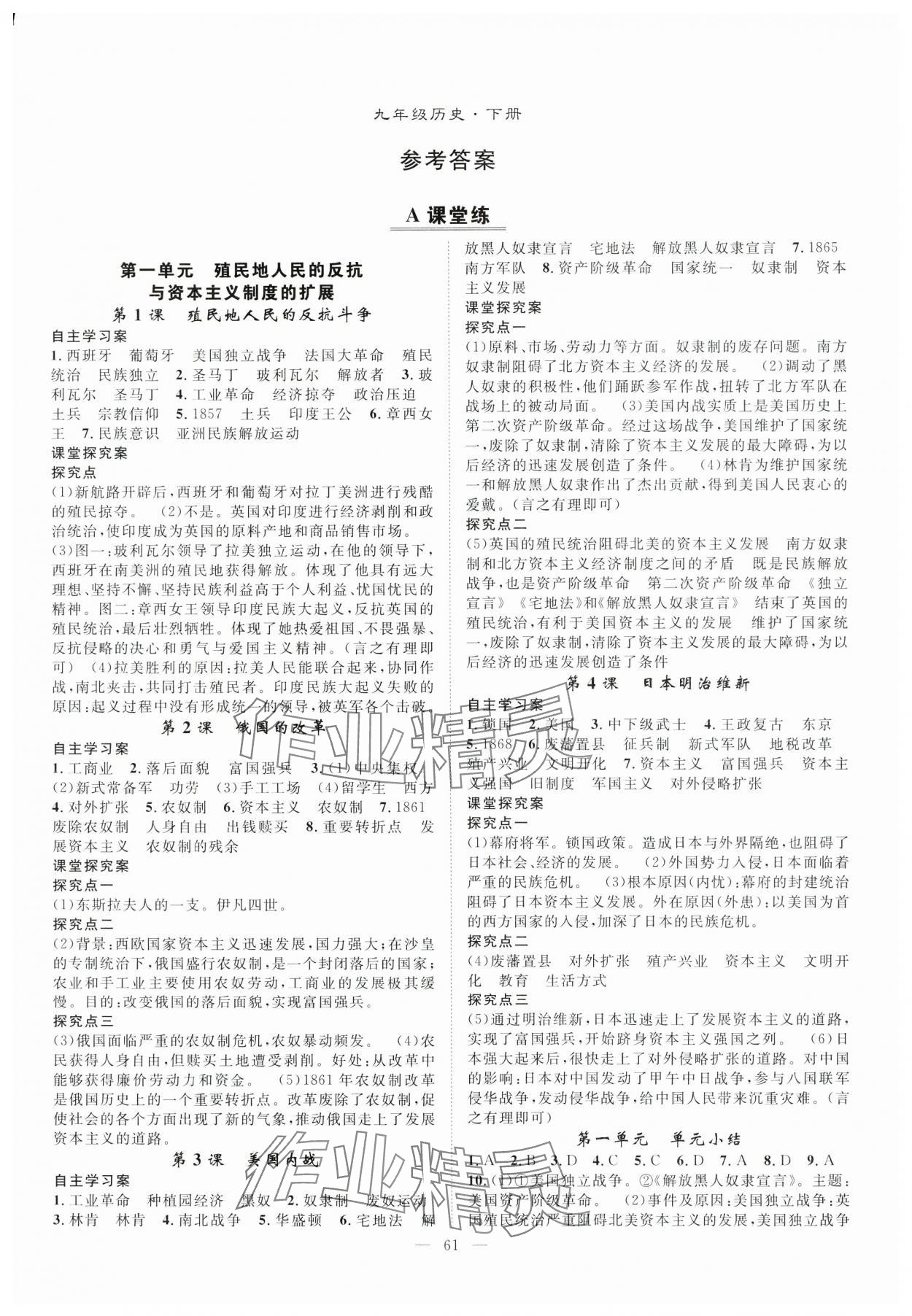 2025年優(yōu)質(zhì)課堂導學案九年級歷史下冊人教版 第1頁