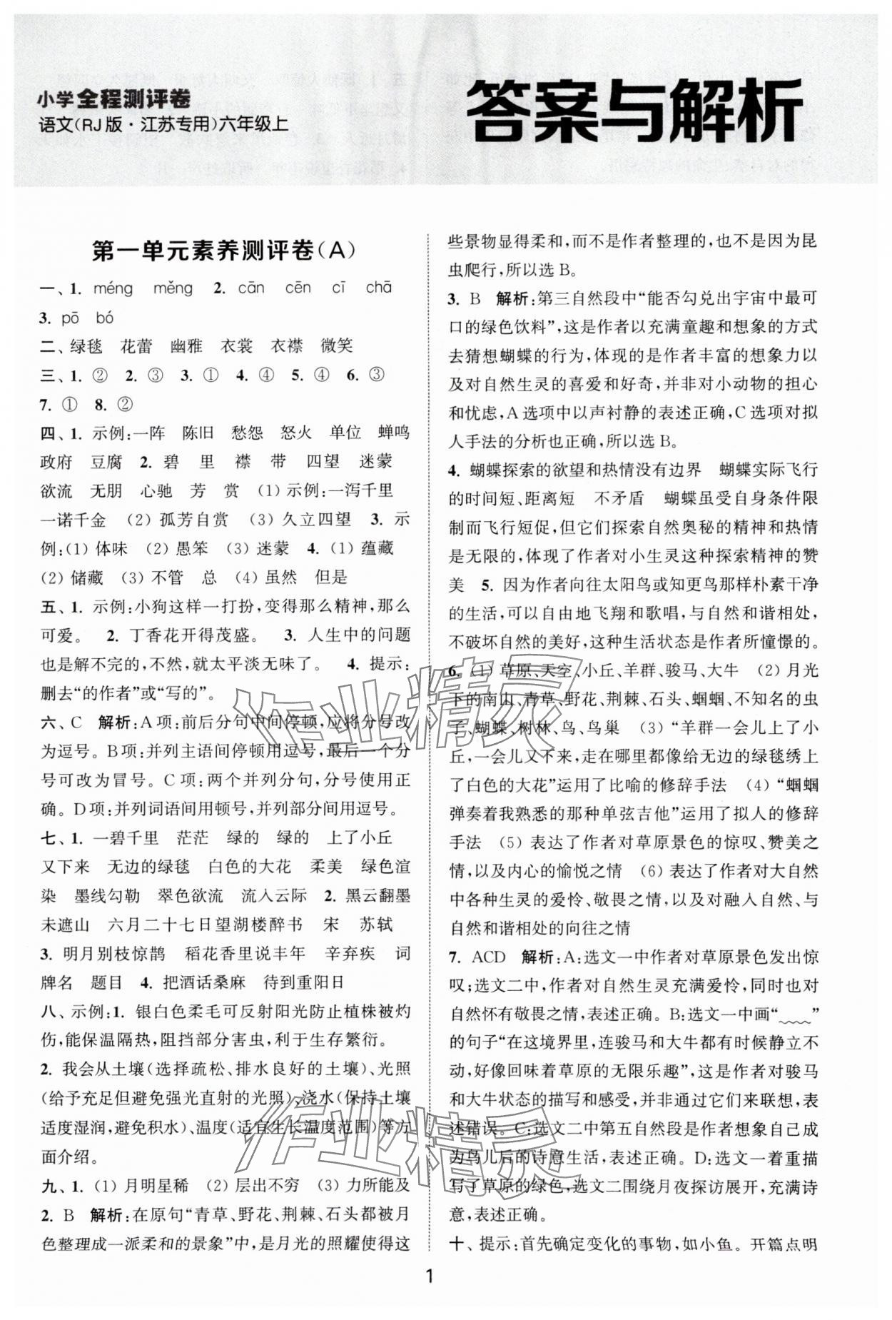 2025年通城學(xué)典全程測評卷六年級語文上冊人教版江蘇專版 第1頁