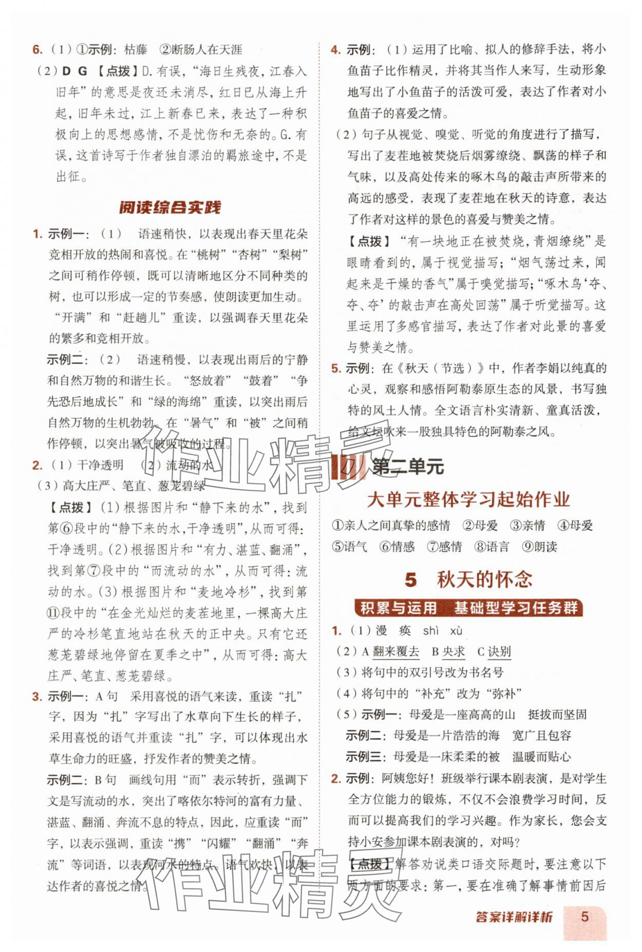 2025年综合应用创新题典中点七年级语文上册人教版安徽专版 第5页