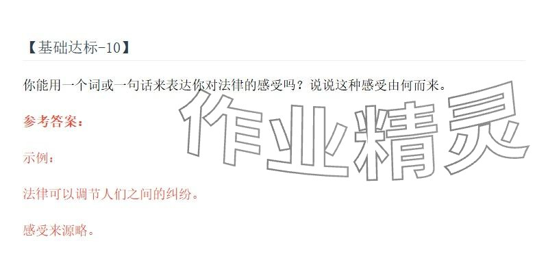 2025年同步实践评价课程基础训练湖南少年儿童出版社六年级道德与法治上册人教版 参考答案第10页