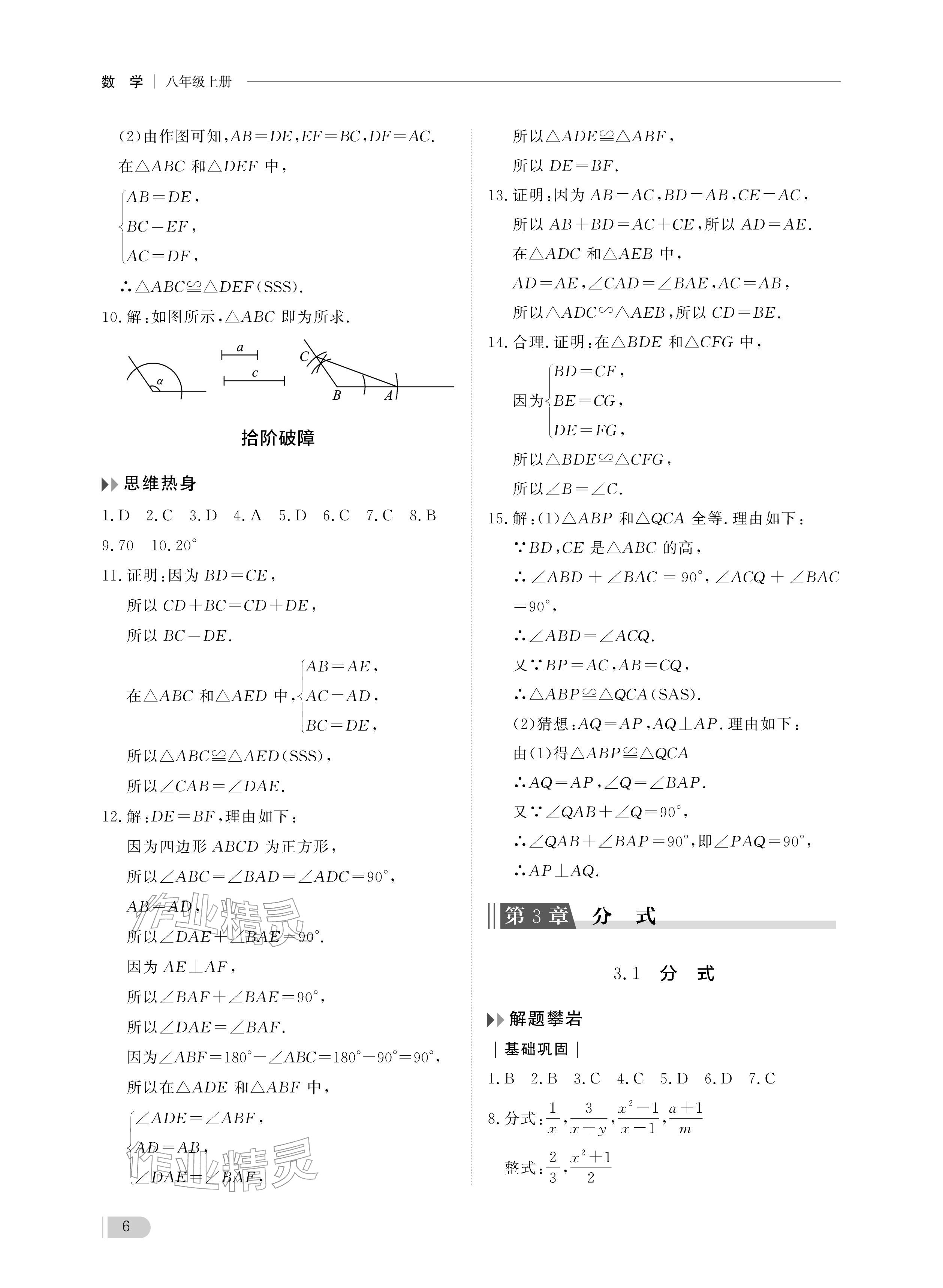 2025年行知天下八年級(jí)數(shù)學(xué)上冊(cè)青島版 參考答案第6頁