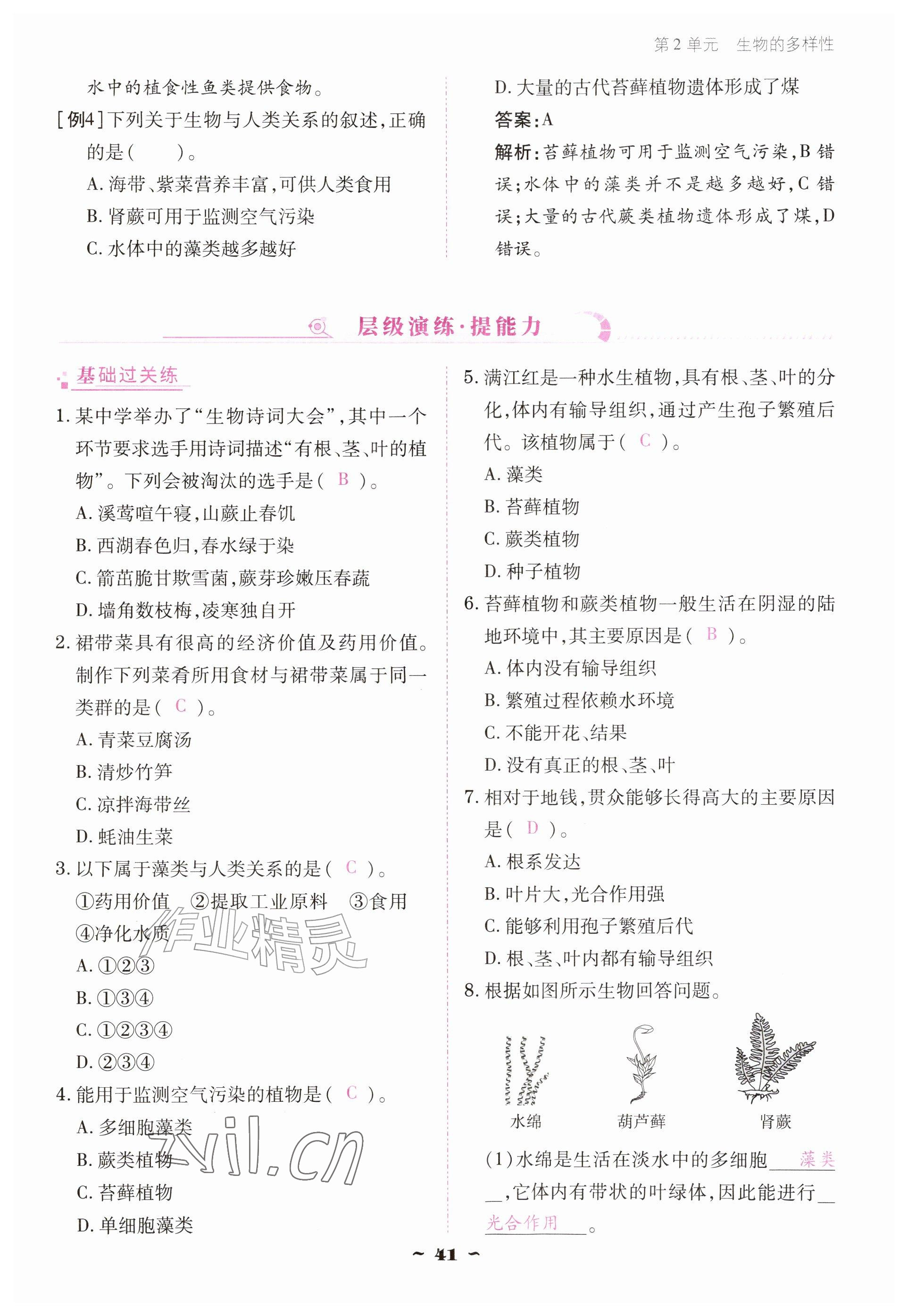 2026年云南省标准教辅优佳学案七年级历史上册人教版&nbsp;参考答案第41页