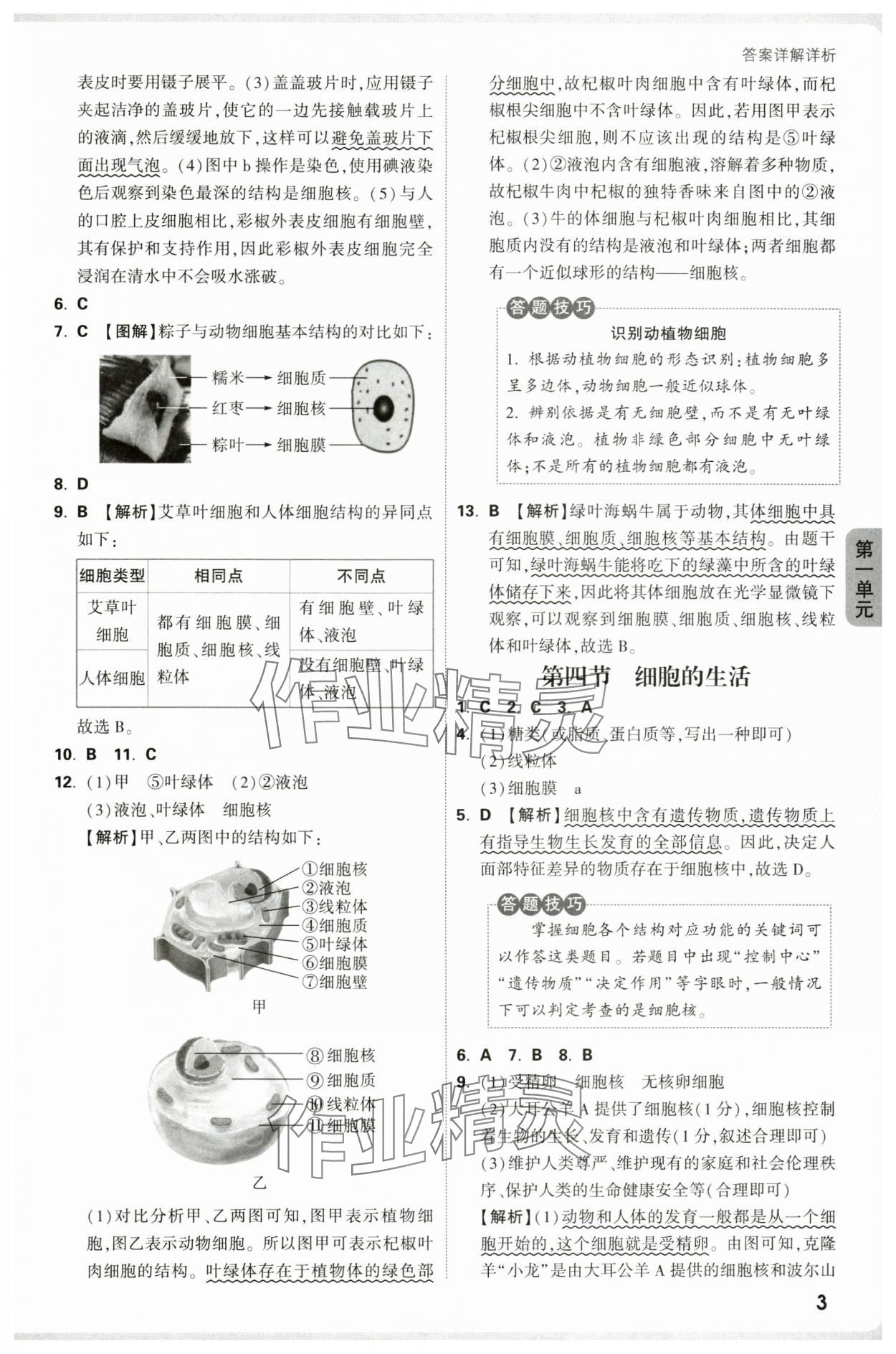 2025年萬唯中考情境題七年級生物上冊人教版河南專版 參考答案第3頁