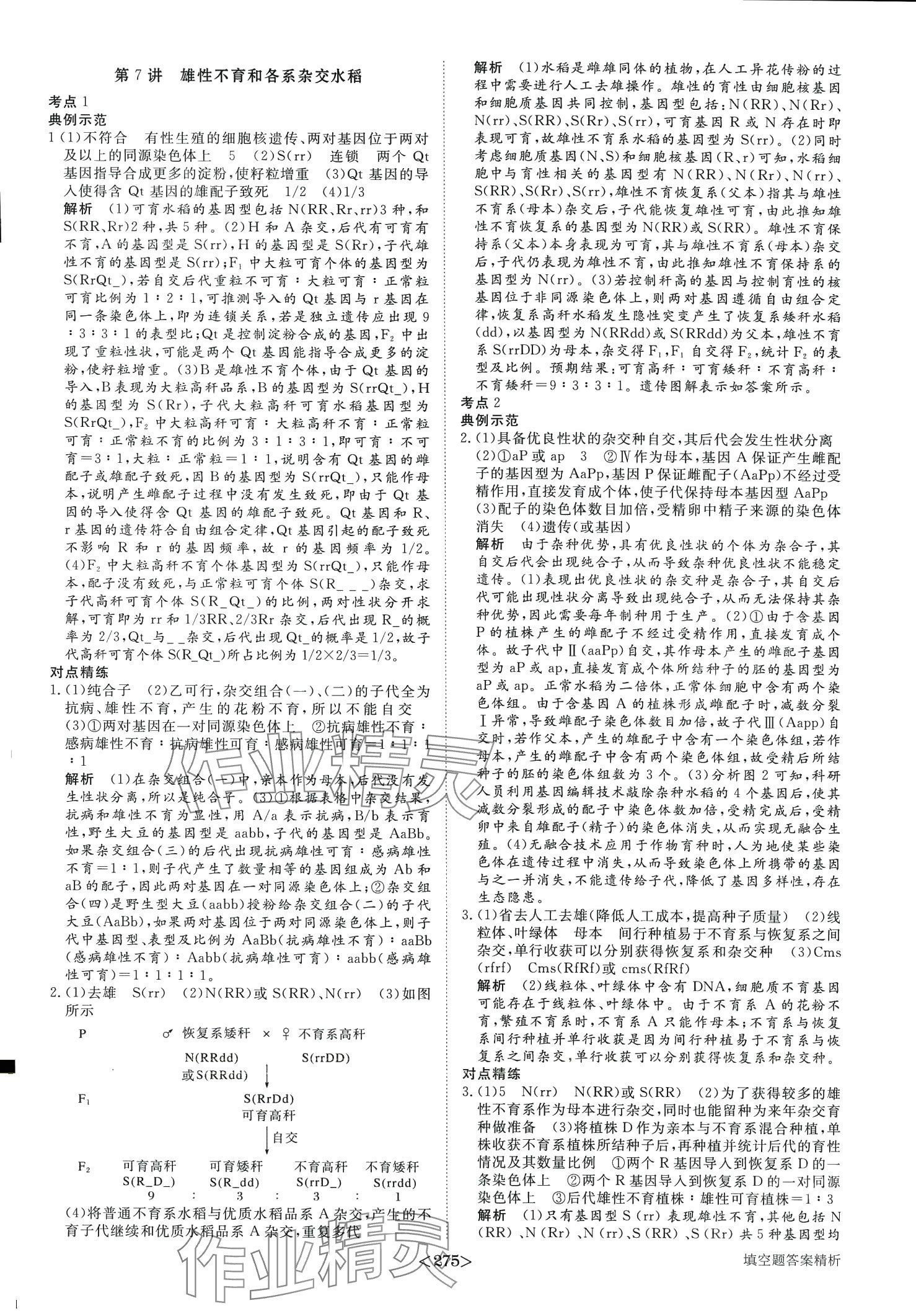 2024年步步高考前三個月二輪高中生物 第12頁