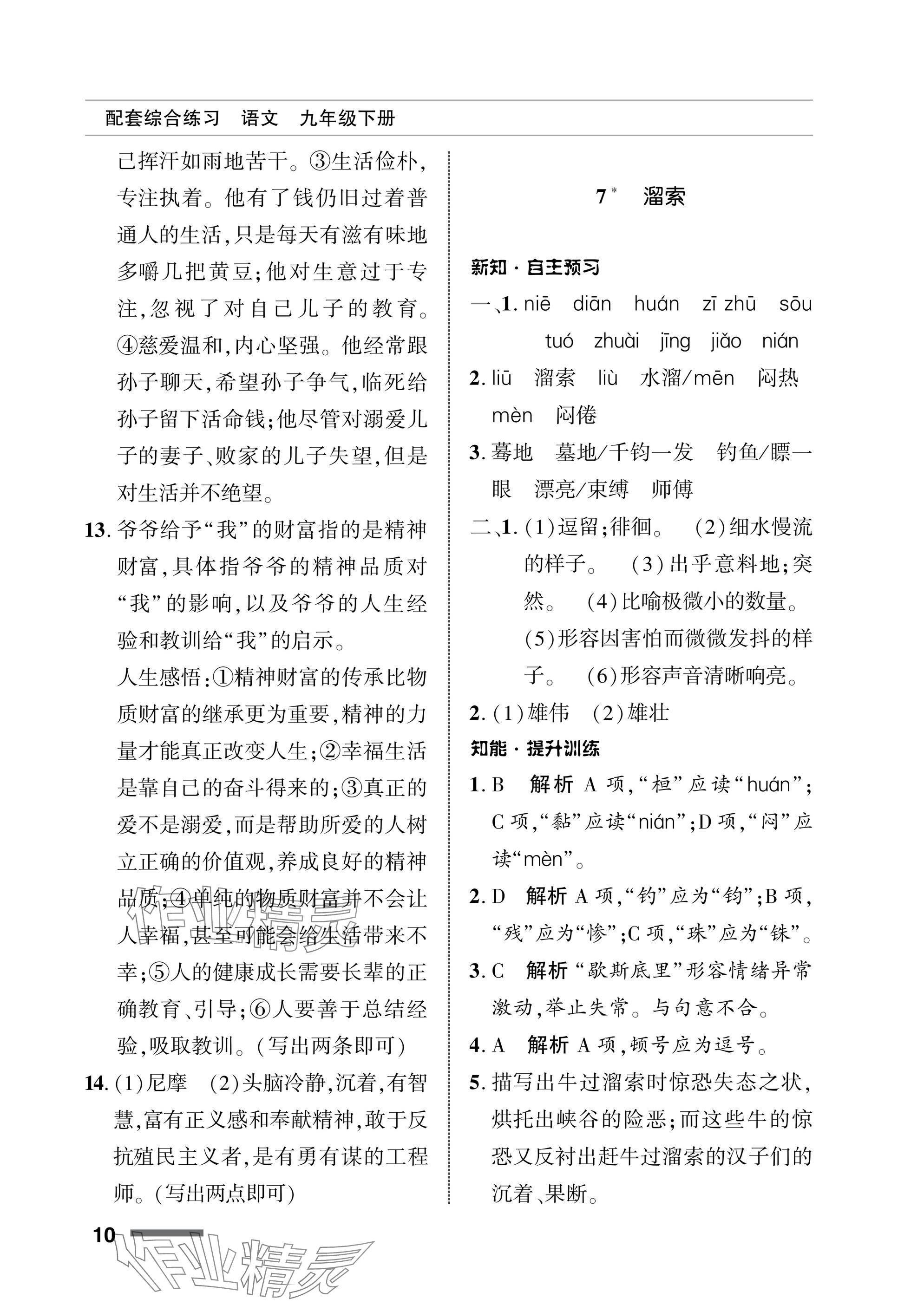 2025年配套綜合練習(xí)甘肅九年級語文下冊人教版 參考答案第10頁