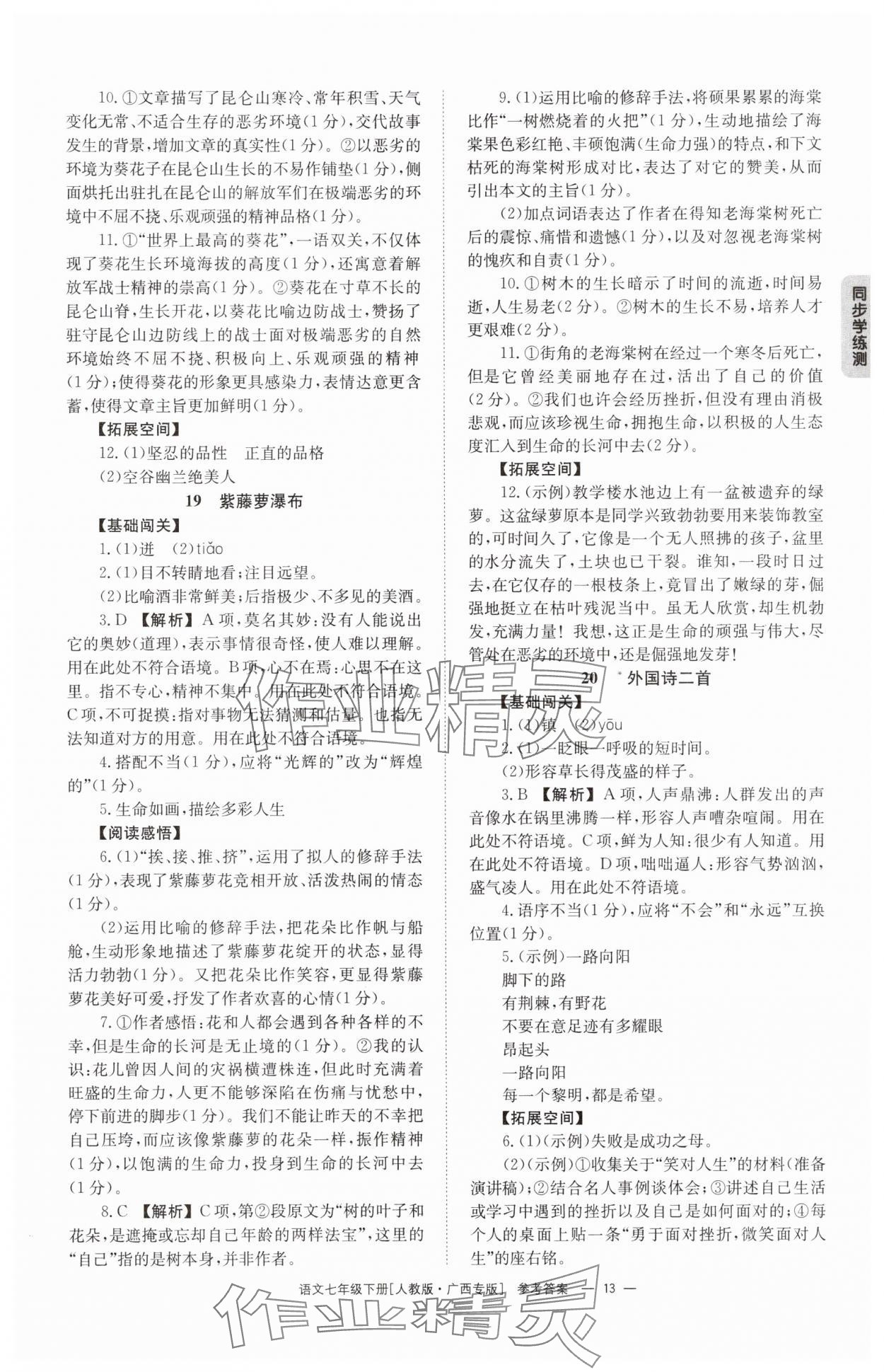 2025年全效學(xué)習(xí)同步學(xué)練測七年級語文下冊人教版 第13頁