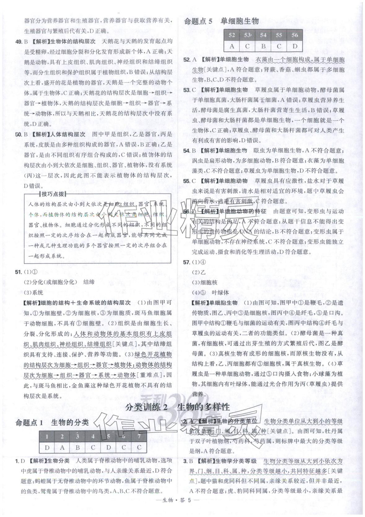 2026年天利38套中考试题分类生物 第5页
