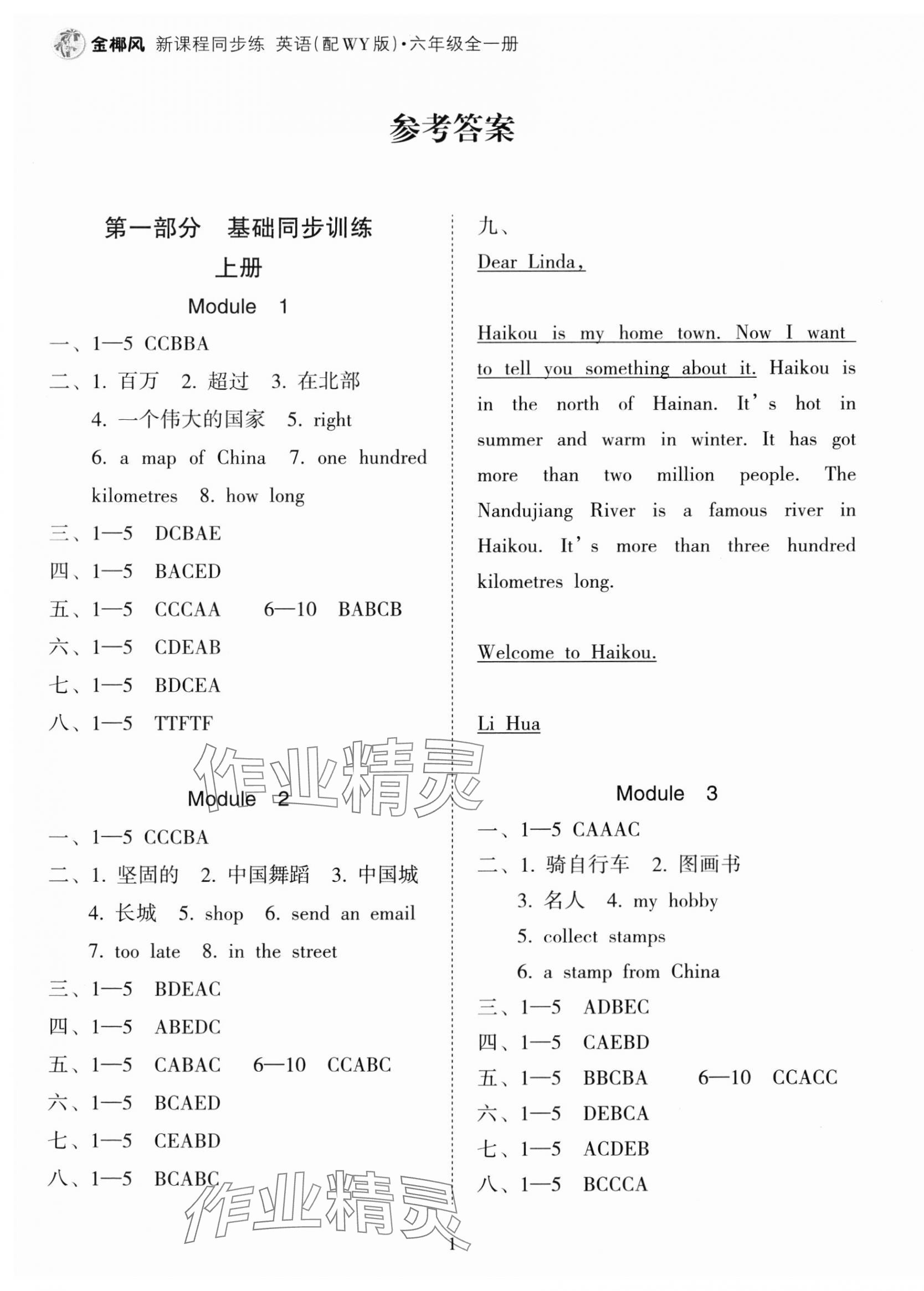 2023年金椰風(fēng)新課程同步練六年級英語全一冊外研版 第1頁