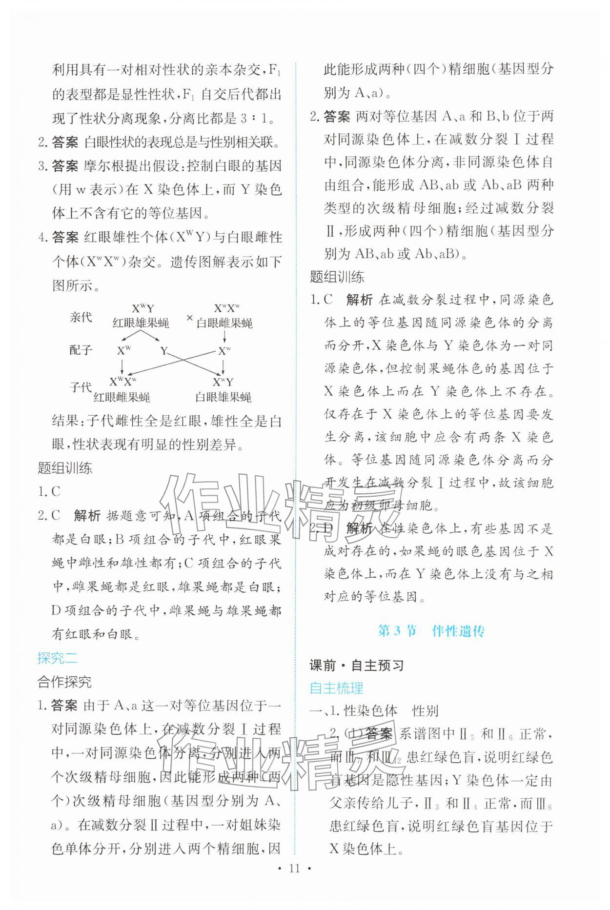 2026年能力培养与测试高中生物必修2(已禁用勿选)人教版&nbsp;参考答案第10页