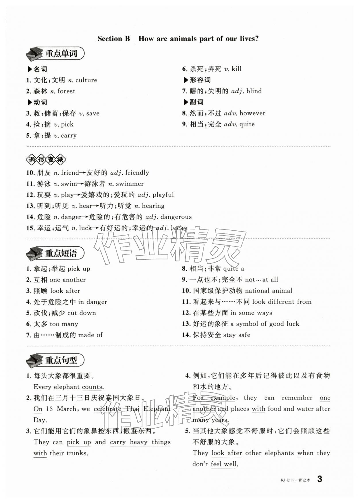 2026年名校课堂七年级英语下册人教版安徽专版&nbsp;第9页