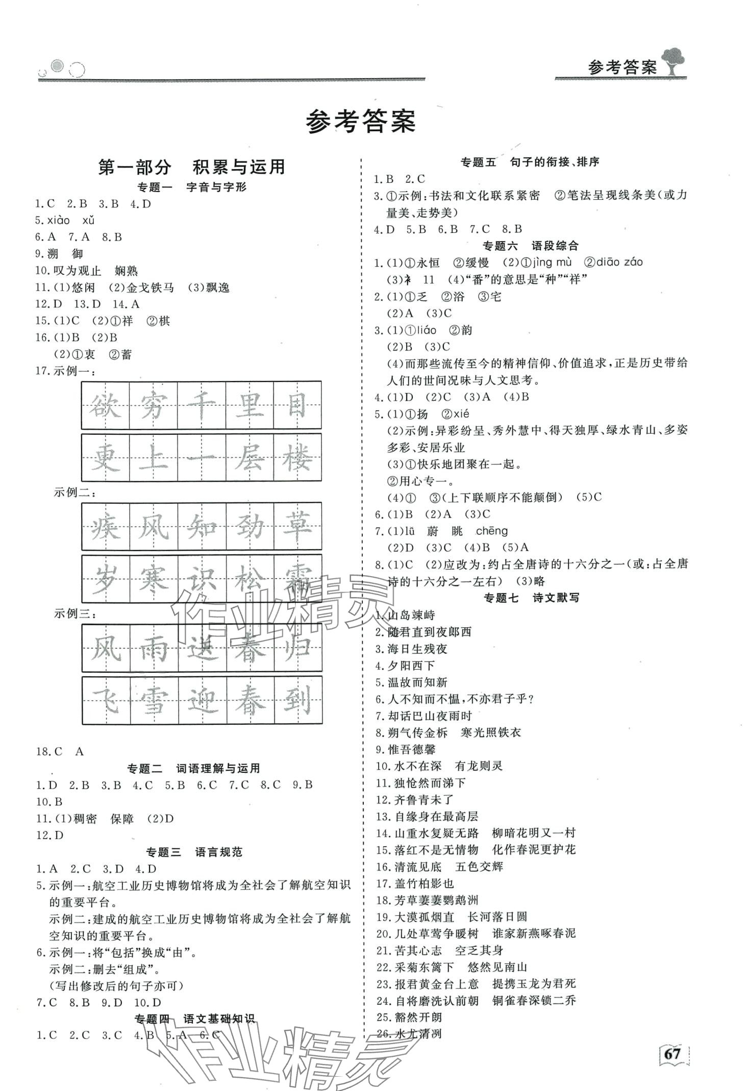 2024年智慧学习假期自主学习九年级语文 第1页