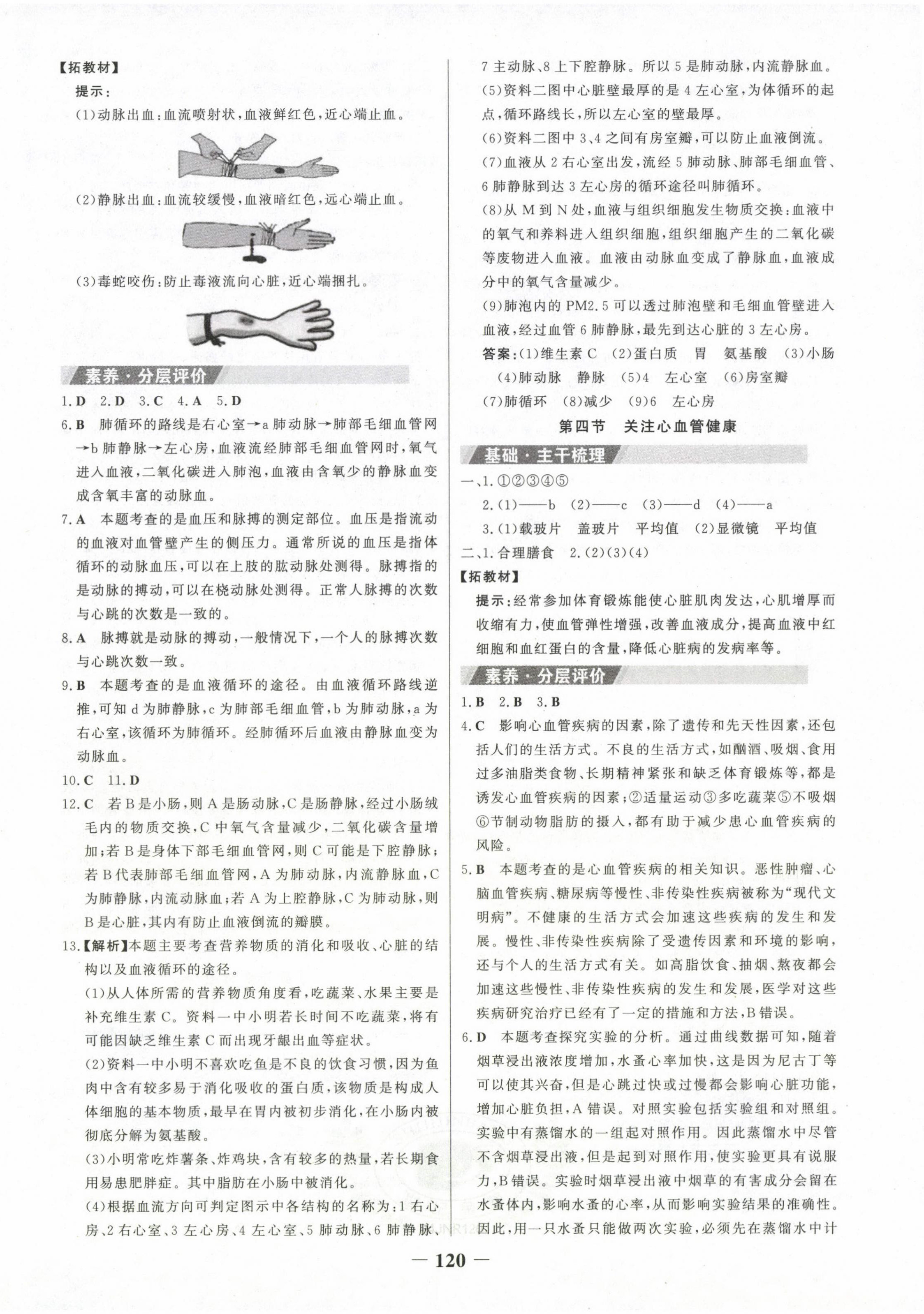 2024年世纪金榜金榜学案七年级生物下册济南版 第8页