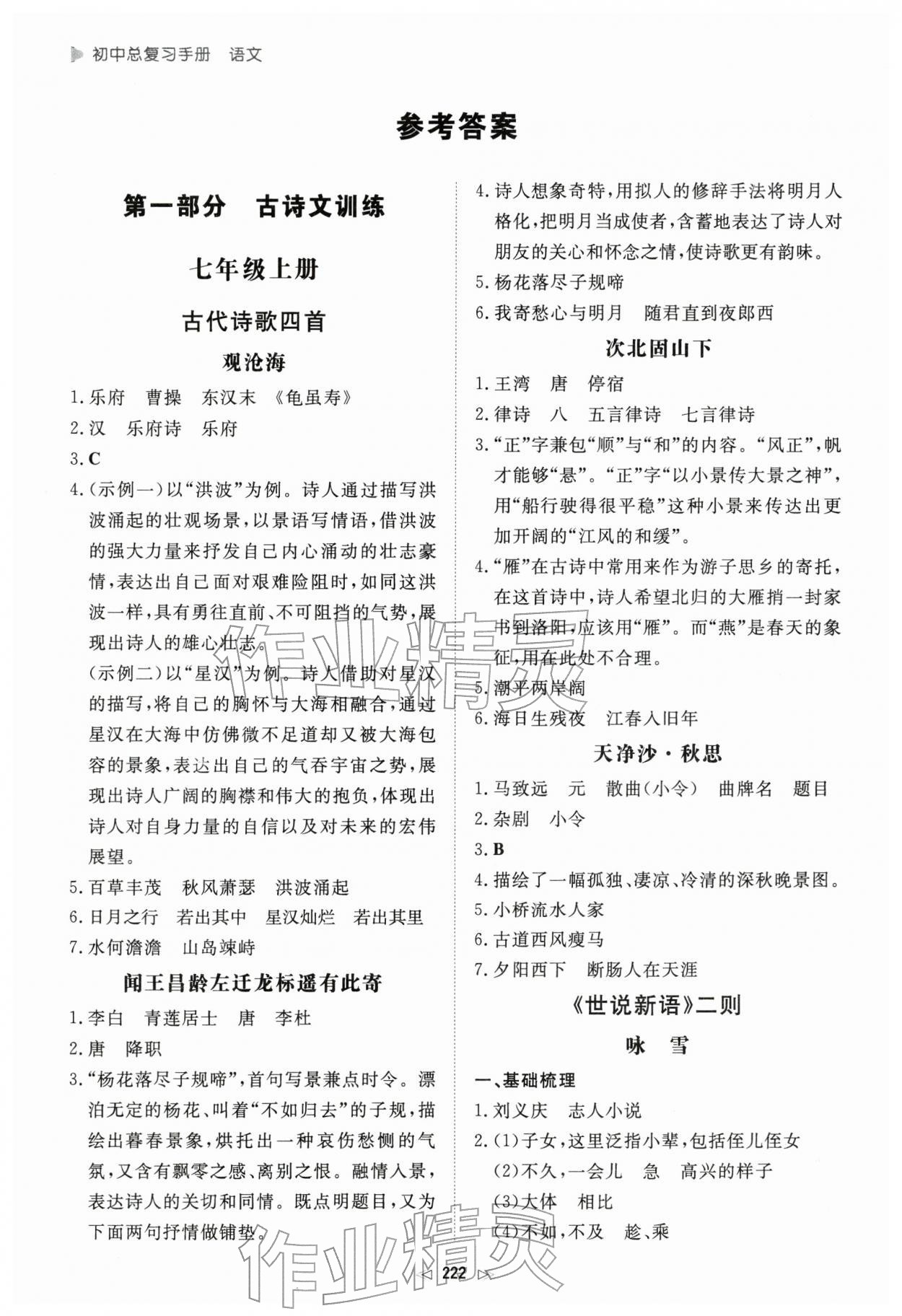 2026年初中总复习手册新世纪出版社语文 参考答案第1页