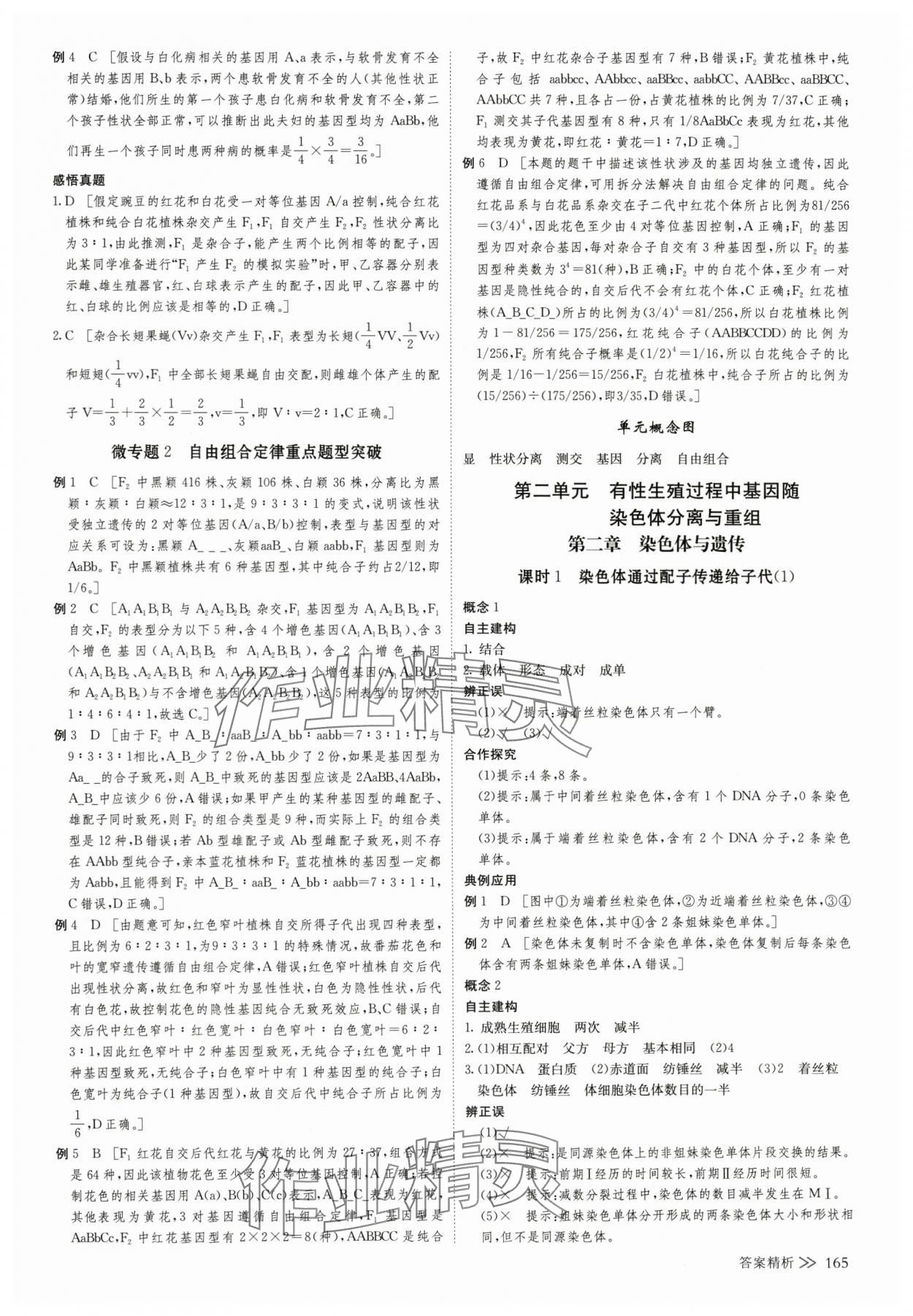 2025年創新設計高中生物必修2浙科版 第8頁
