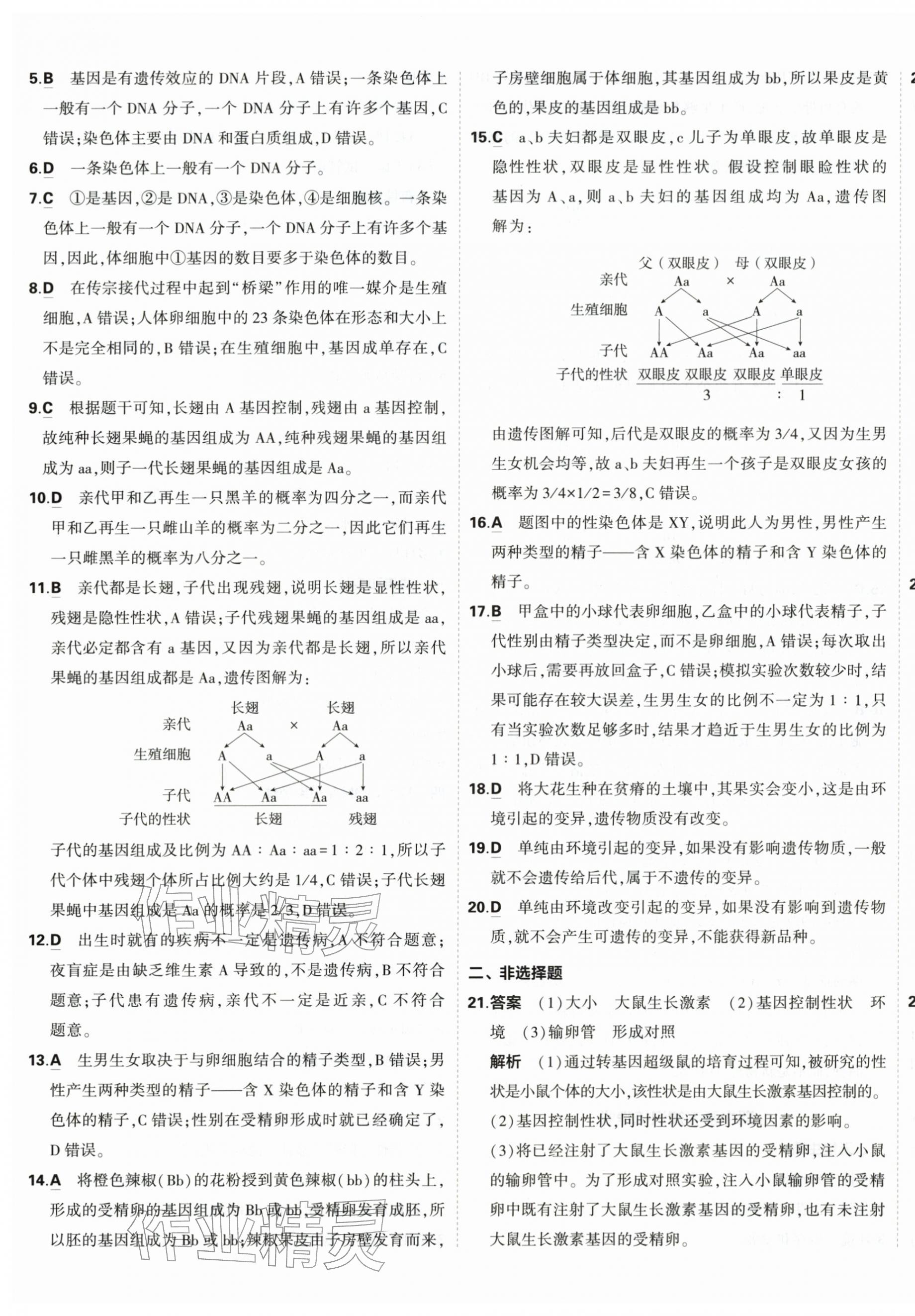 2026年5年中考3年模拟初中试卷八年级生物下册人教版&nbsp;第5页