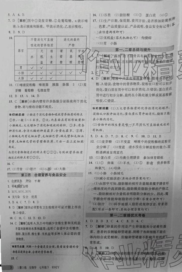 2024年1課3練江蘇人民出版社七年級生物下冊人教版 第3頁