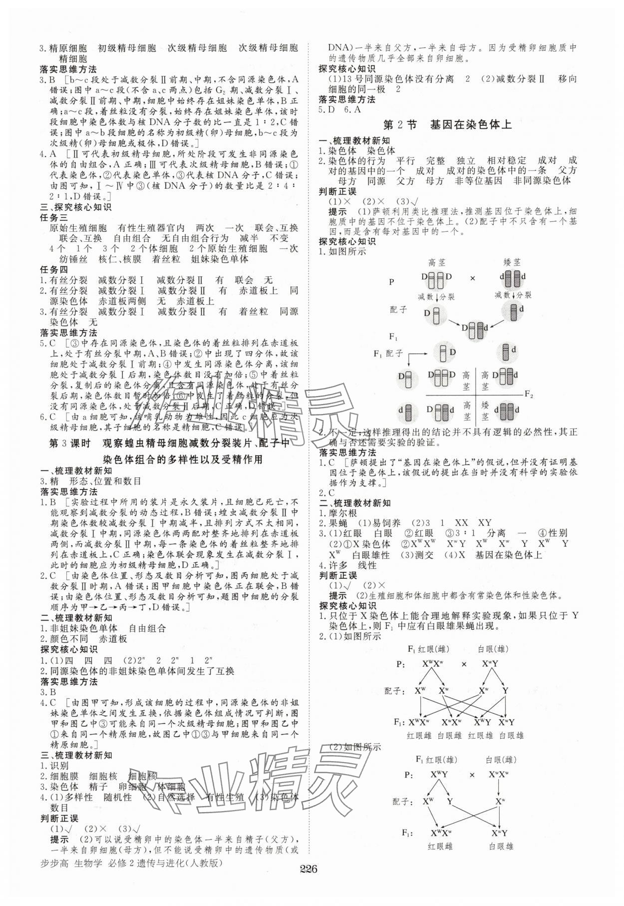 2025年步步高学习笔记生物必修2人教版 参考答案第5页