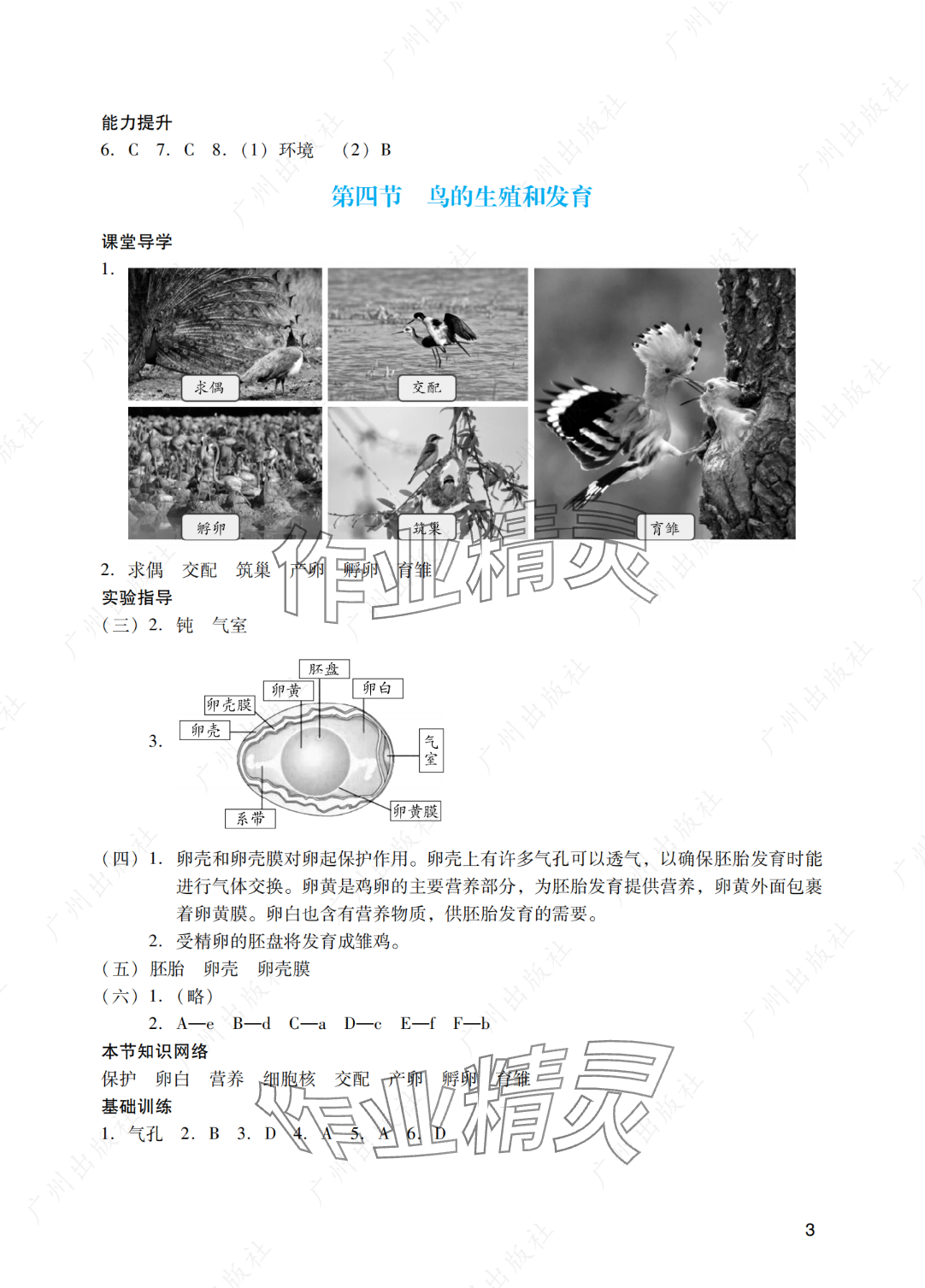 2025年陽(yáng)光學(xué)業(yè)評(píng)價(jià)八年級(jí)生物下冊(cè)人教版 參考答案第3頁(yè)
