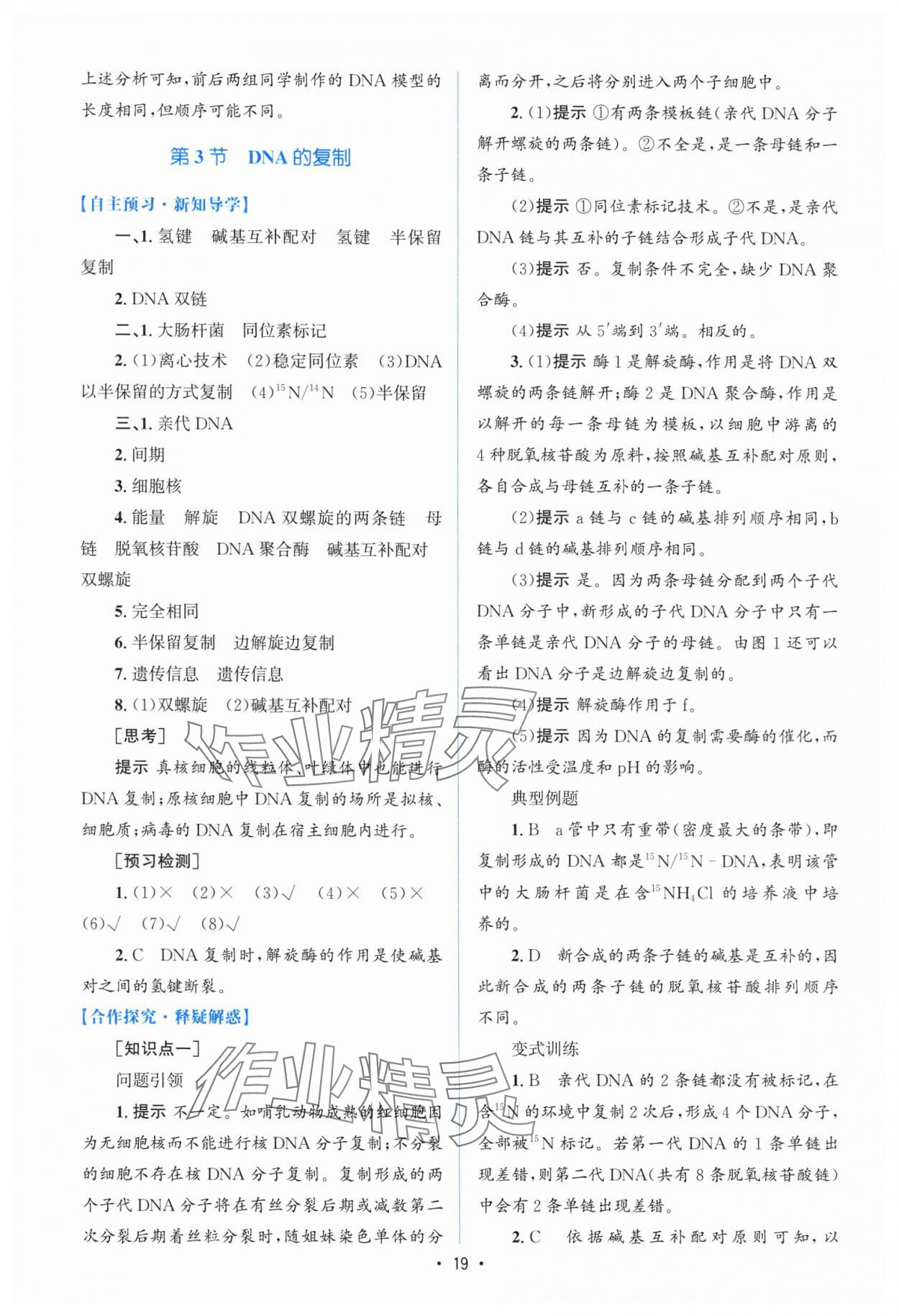 2025年高中同步測控優(yōu)化設(shè)計高中生物必修2人教版增強版 參考答案第18頁