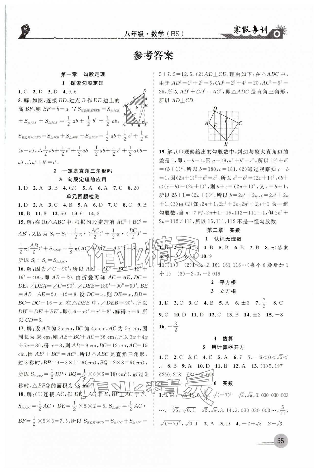 2025年寒假集训合肥工业大学出版社八年级数学北师大版 第1页