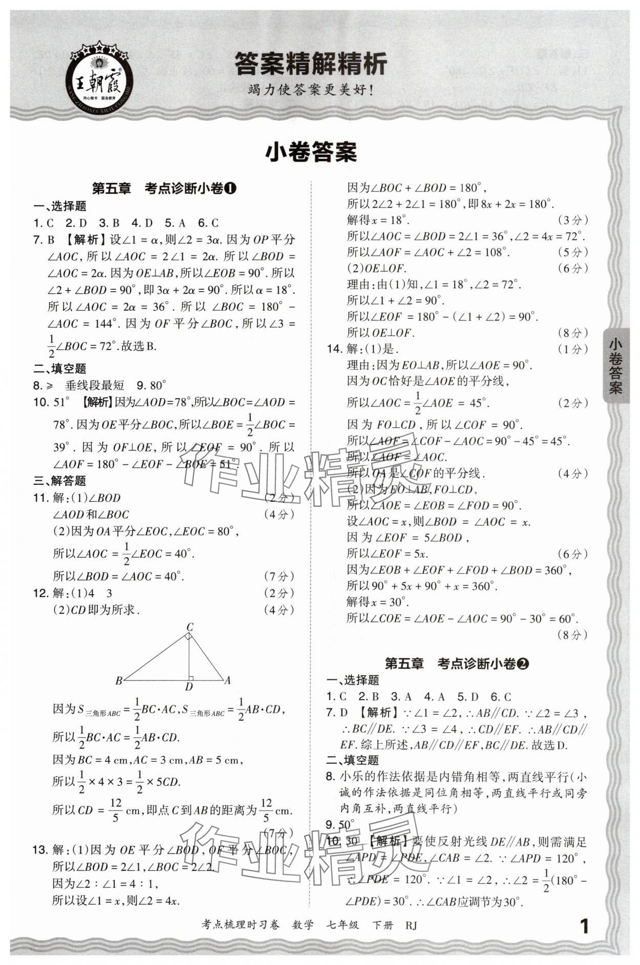 2024年王朝霞考点梳理时习卷七年级数学下册人教版 第1页