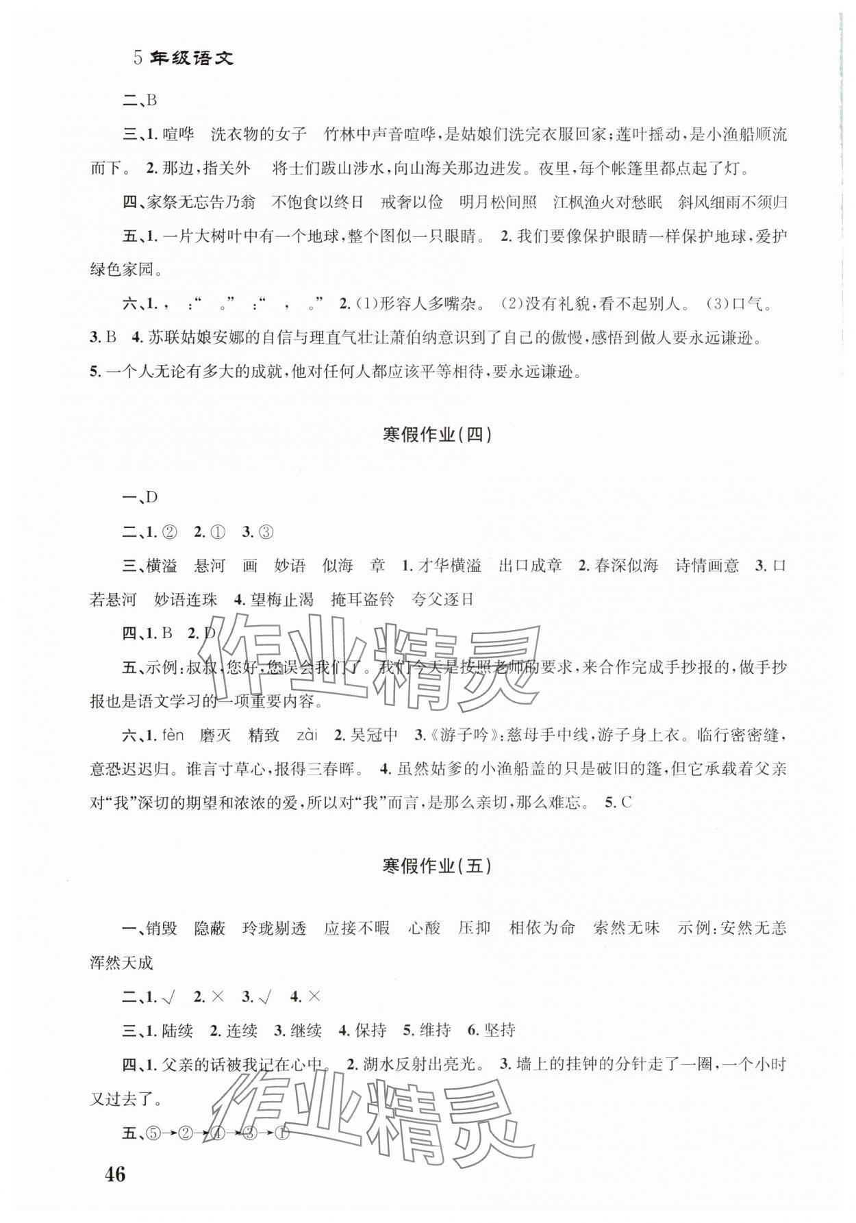 2025年寒假作業培優銜接南京大學出版社五年級語文 第2頁