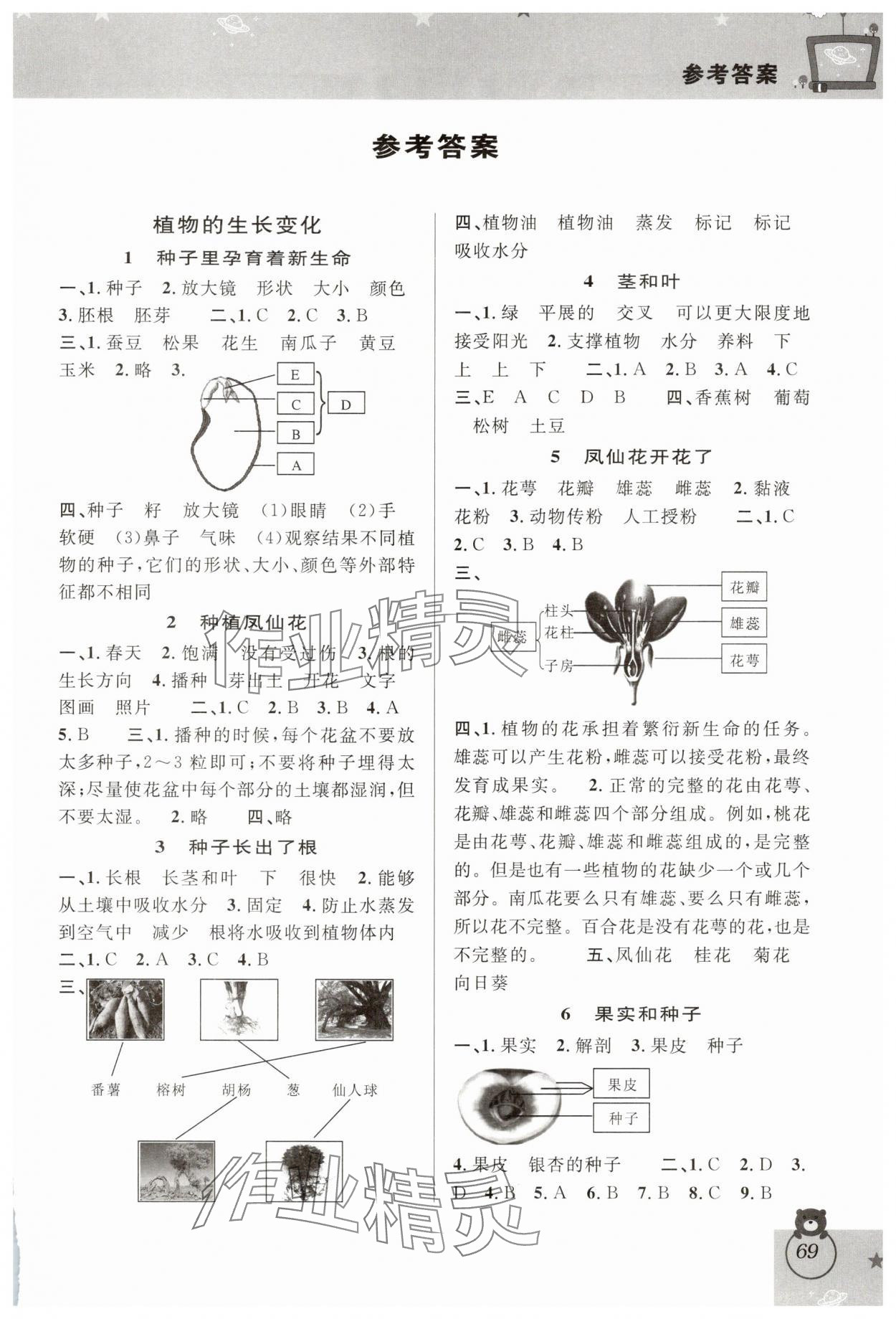 2025年新編教與學四年級科學下冊教科版 第1頁