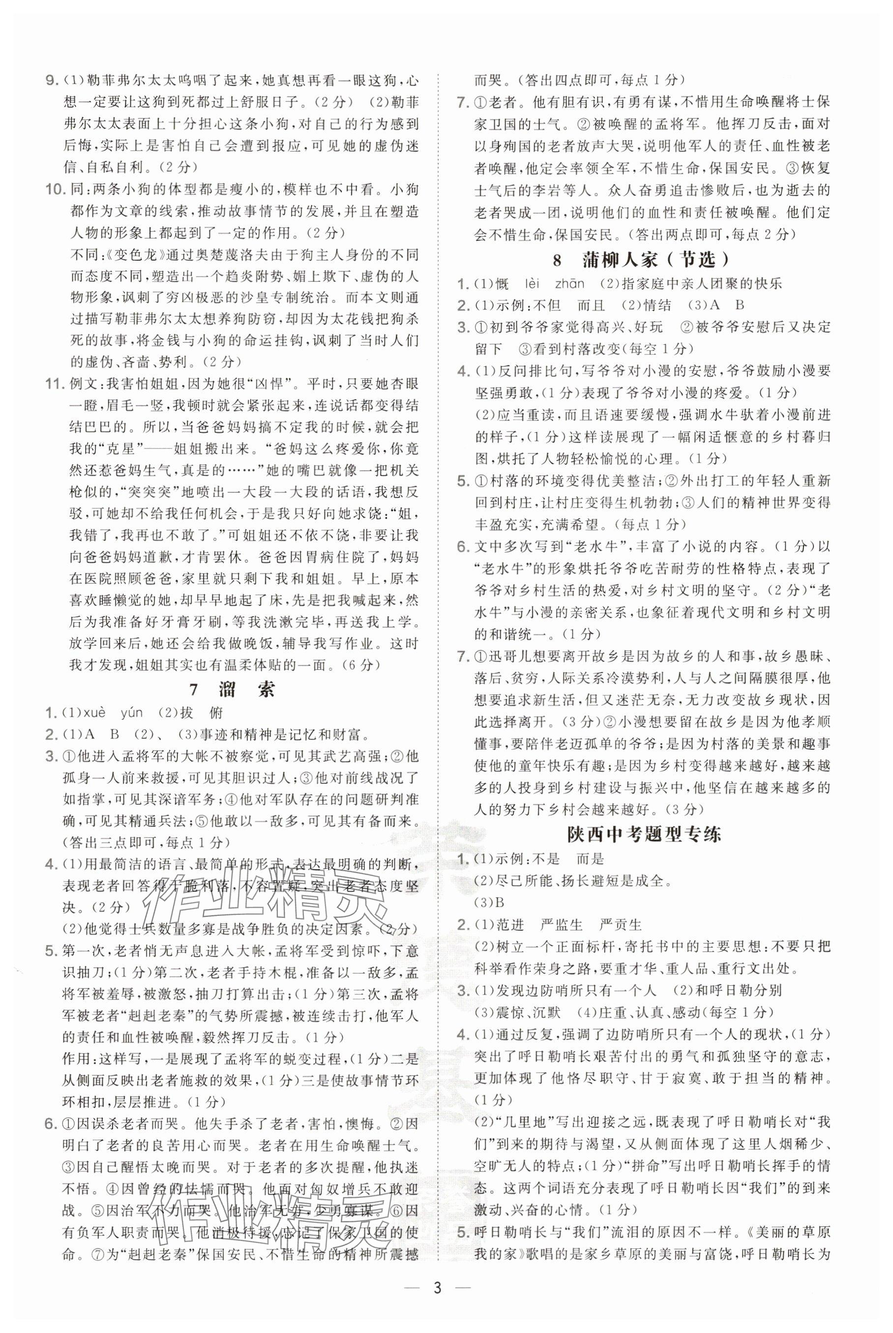 2025年點(diǎn)撥訓(xùn)練九年級(jí)語文下冊(cè)人教版陜西專版 參考答案第3頁