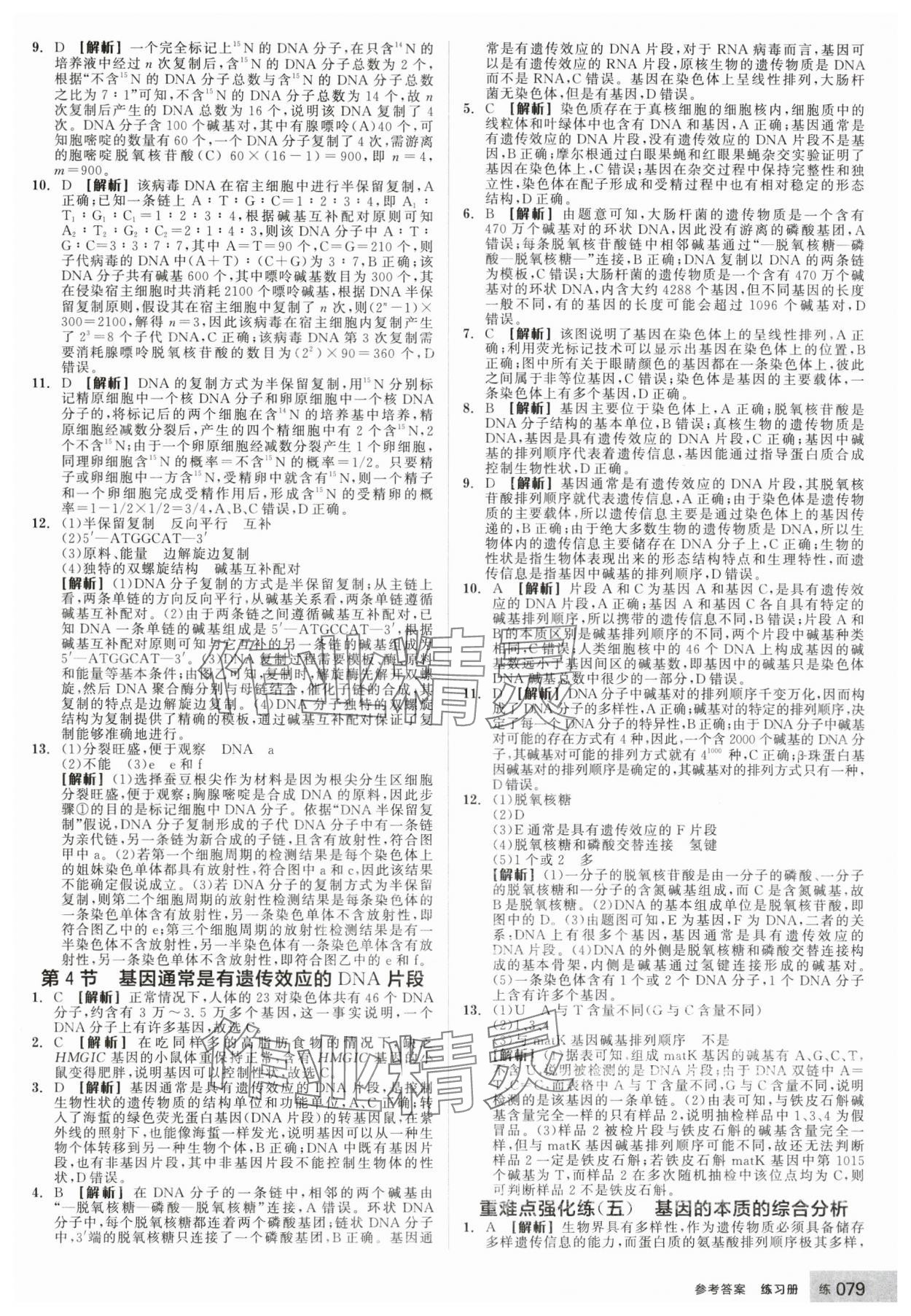 2025年全品学练考高中生物必修2人教版 第13页