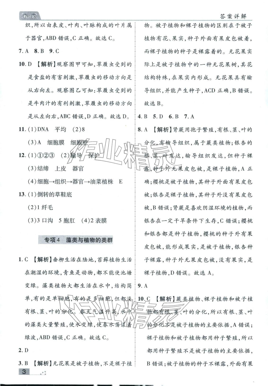 2025年有一套初中各地市期末真题七年级生物上册人教版 参考答案第3页