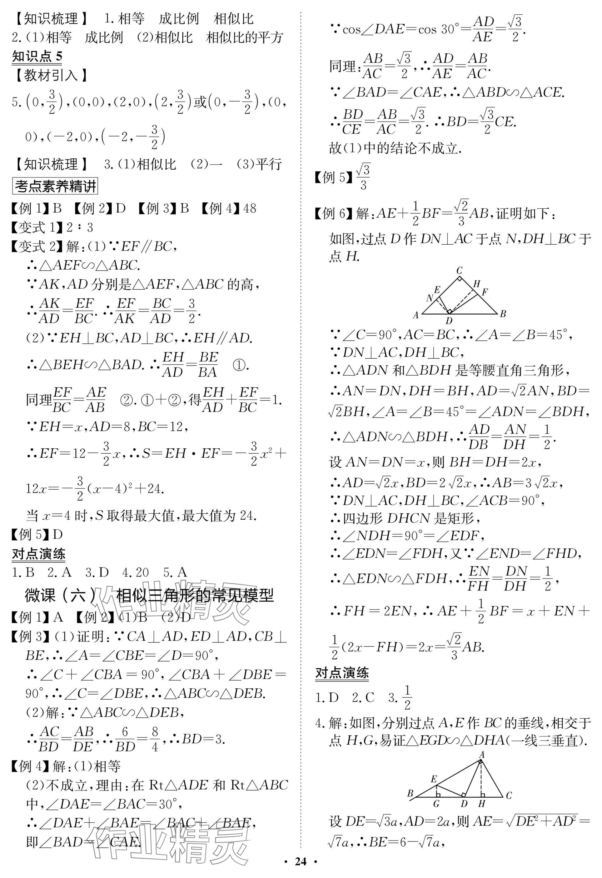 2025年湖北专版指点中考数学 参考答案第24页