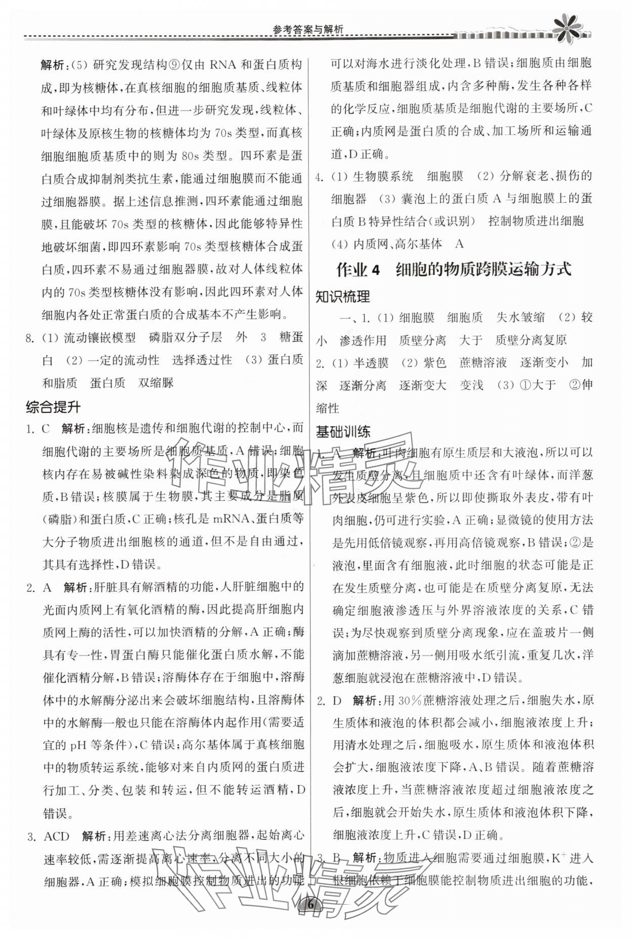 2025年假期好作業(yè)暨期末復(fù)習(xí)暑假高一生物 參考答案第6頁