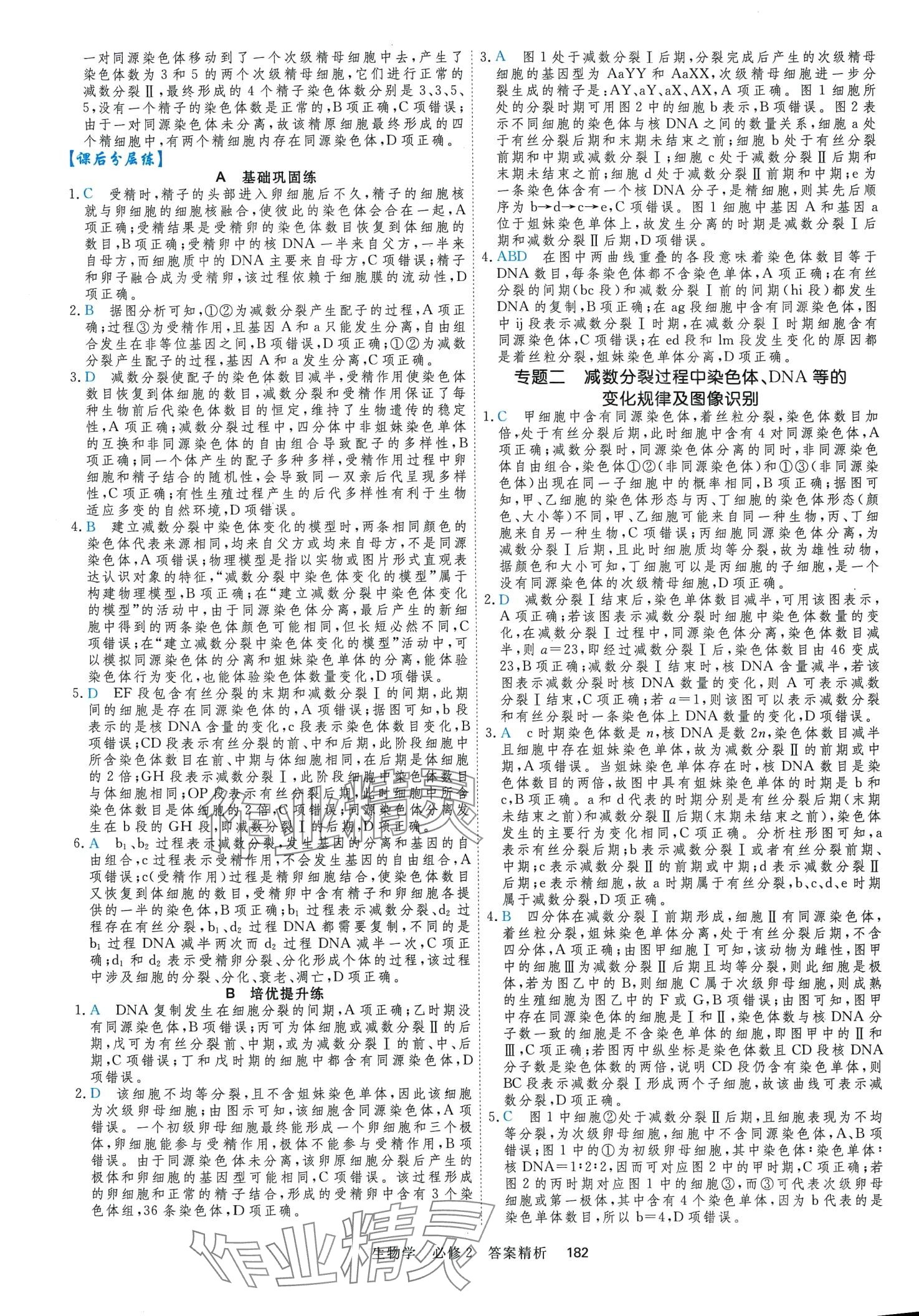 2024年課時周測月考高中生物（遺傳與進化）必修2 第9頁