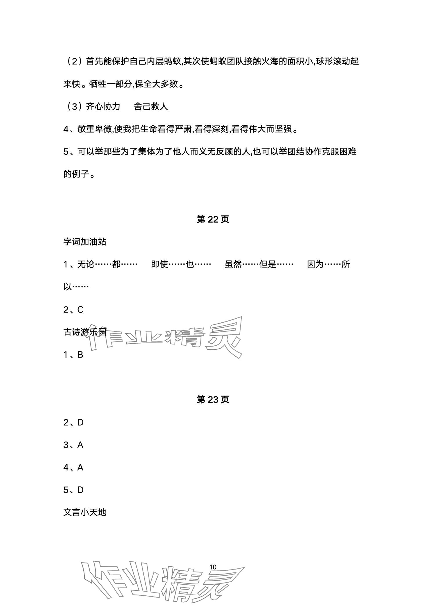 2024年寒假學與練浙江少年兒童出版社六年級綜合 第10頁