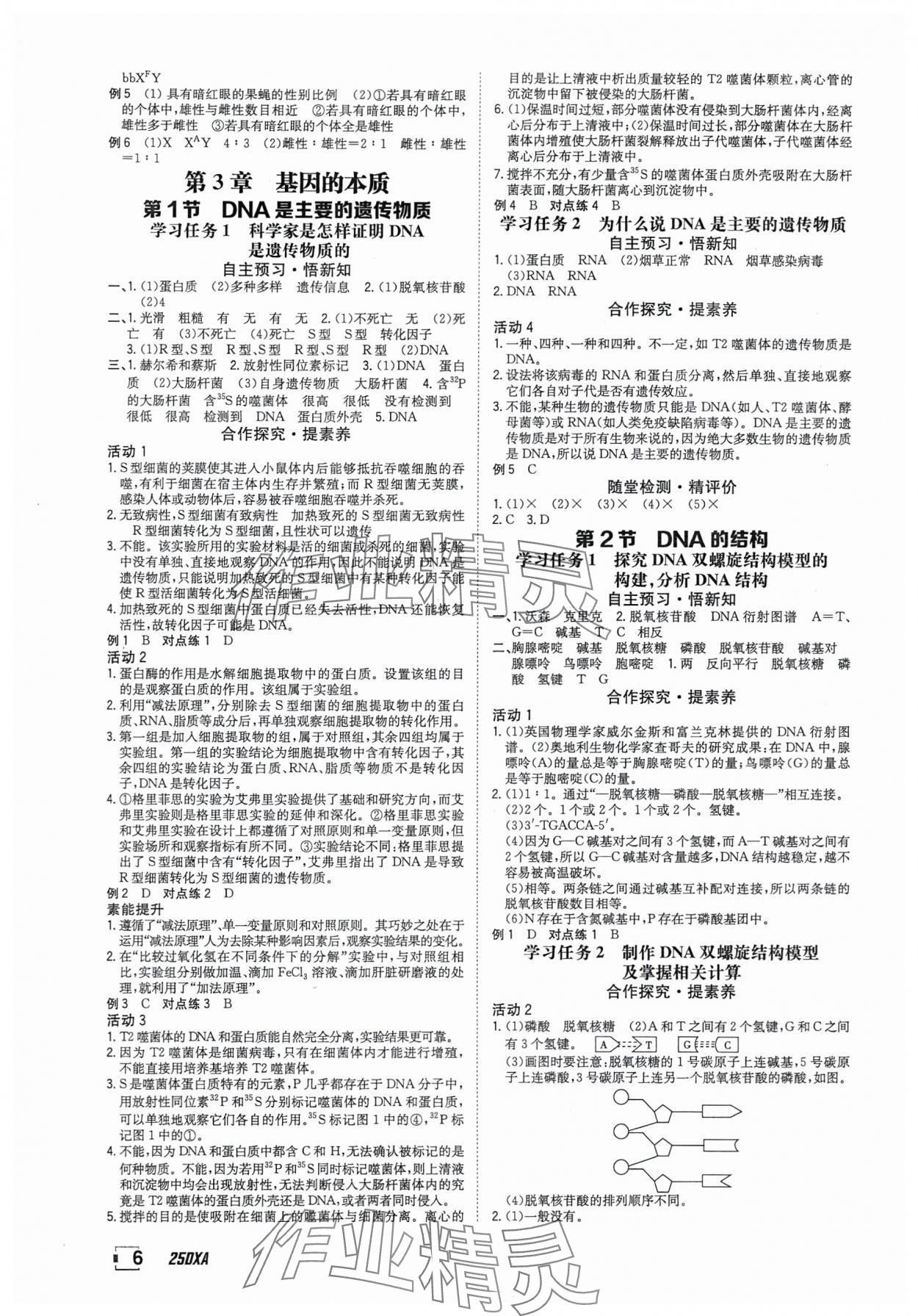 2025年金太陽(yáng)導(dǎo)學(xué)案高中生物必修2人教版 參考答案第6頁(yè)