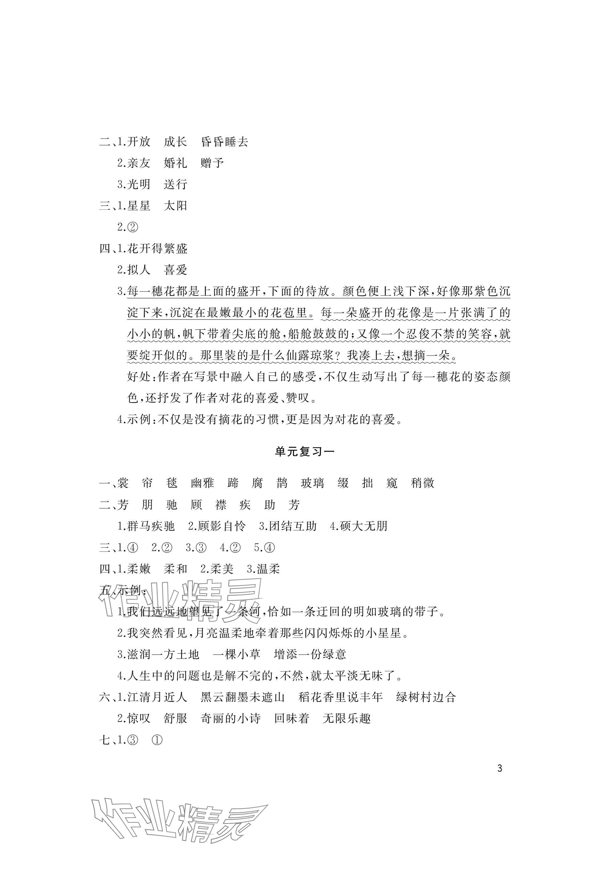 2025年新课堂同步学习与探究六年级语文上册人教版枣庄专版 参考答案第3页