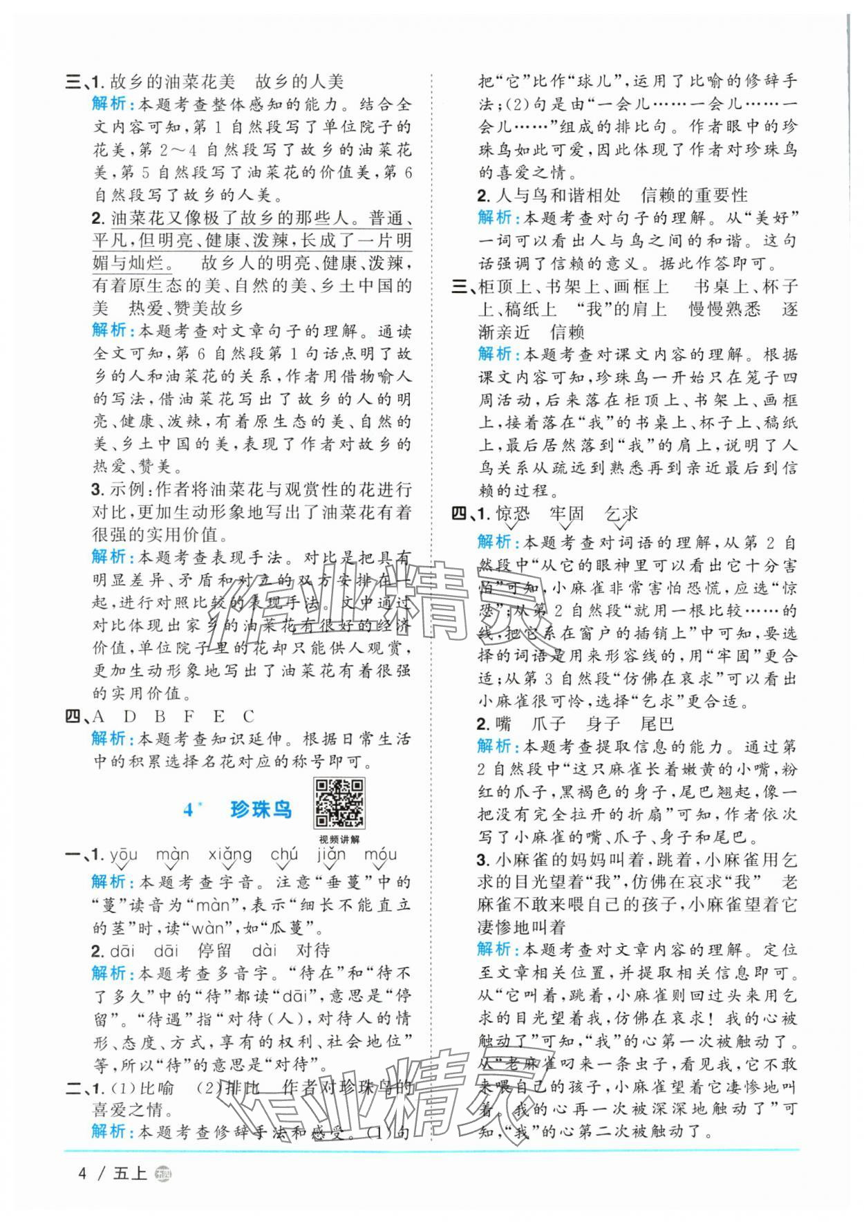 2024年陽光同學課時優(yōu)化作業(yè)五年級語文上冊人教版五四制 參考答案第4頁