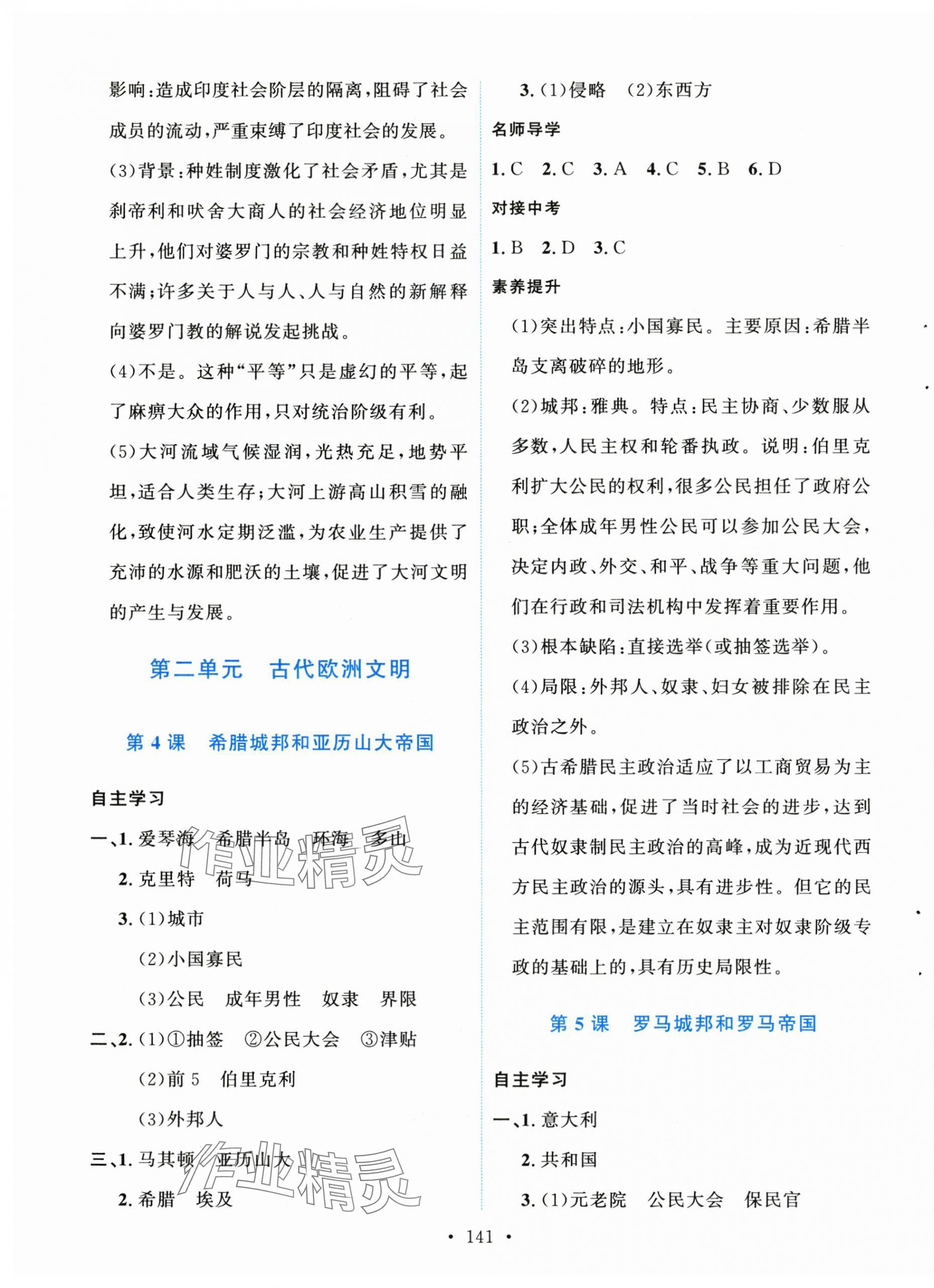 2025年实验教材新学案九年级历史上册人教版 第3页