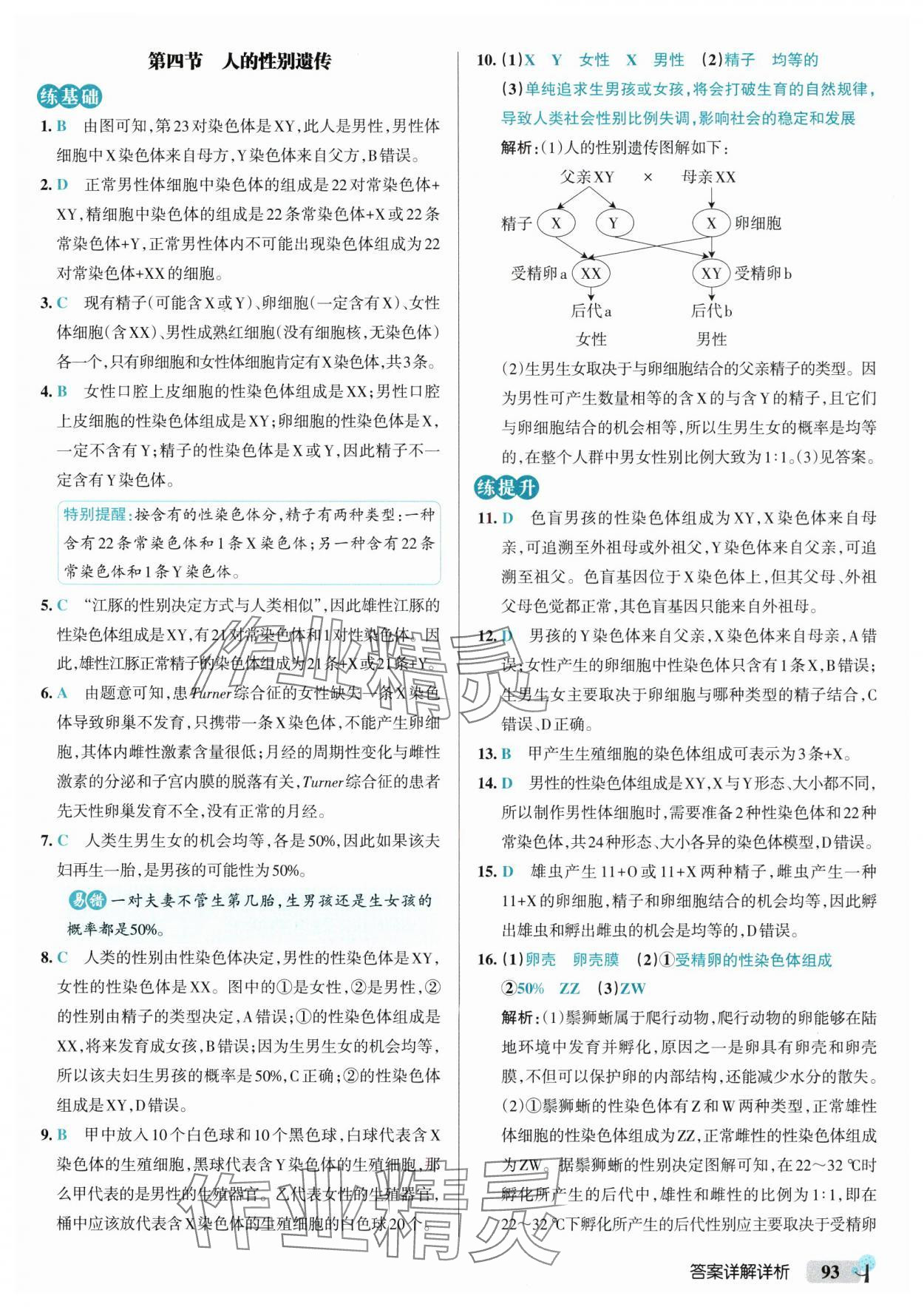 2025年初中學霸創新題八年級生物下冊人教版 參考答案第11頁