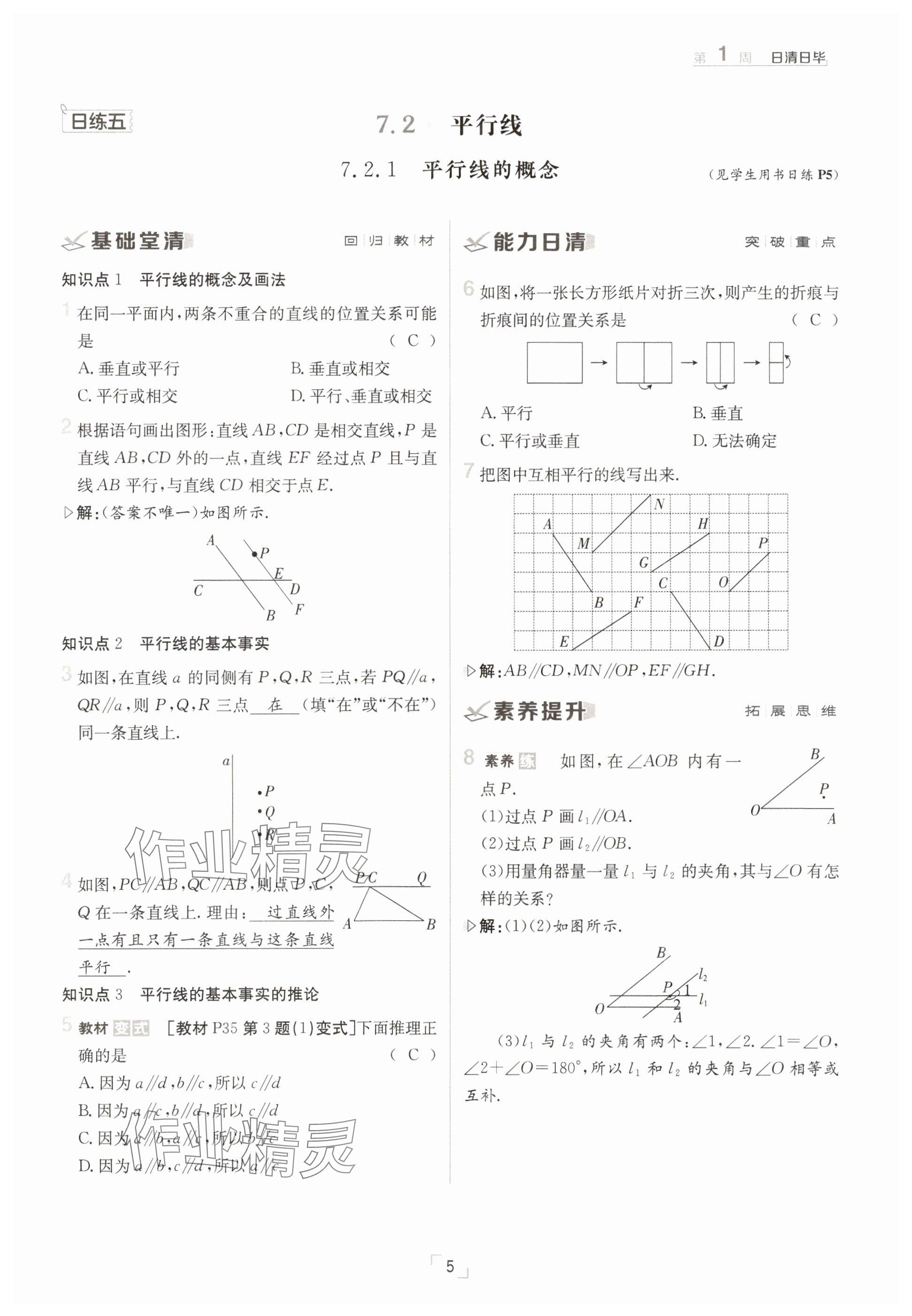 2025年日清周練七年級數(shù)學下冊人教版 參考答案第5頁