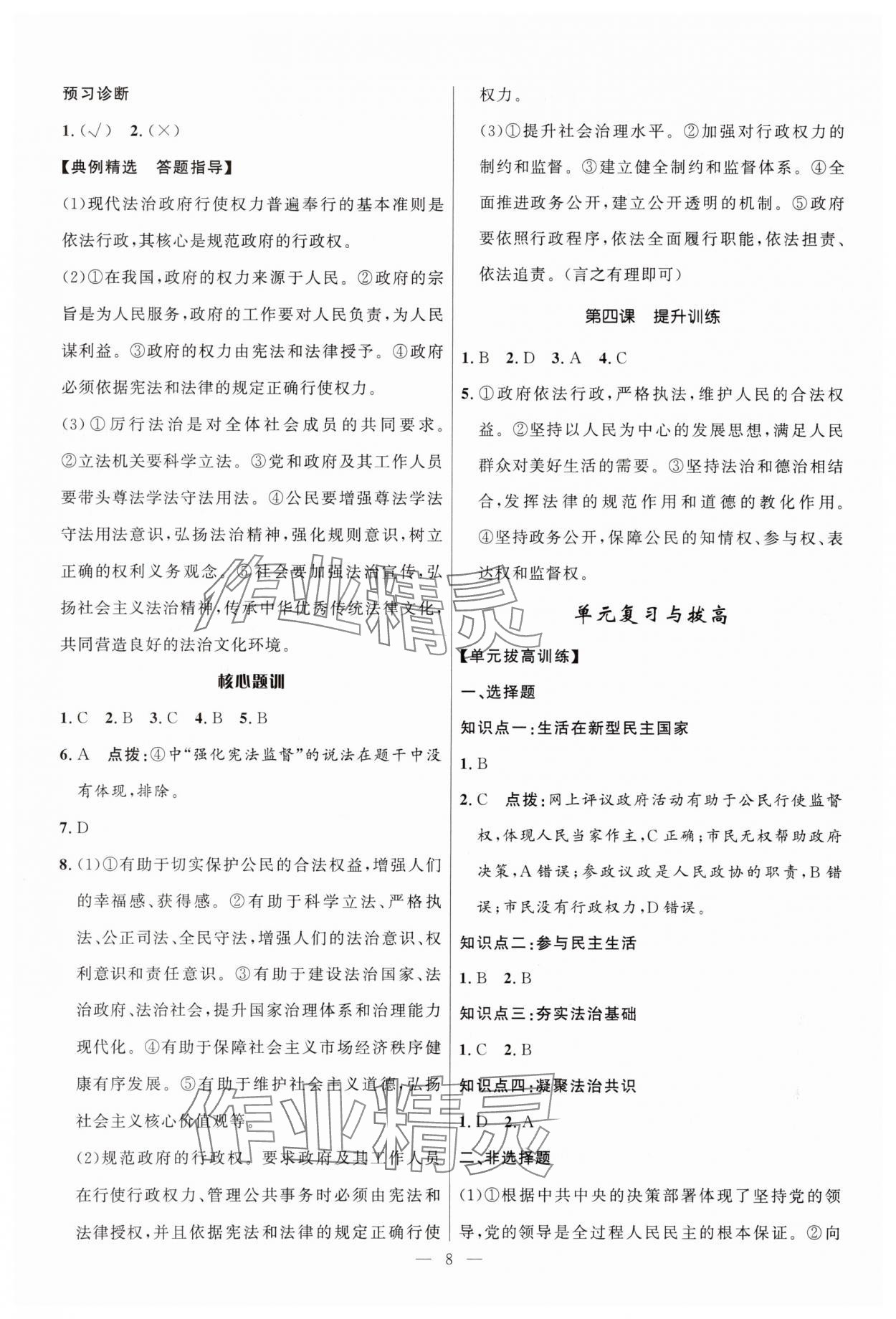 2025年頂尖課課練九年級道德與法治全一冊人教版貴州專版 第8頁
