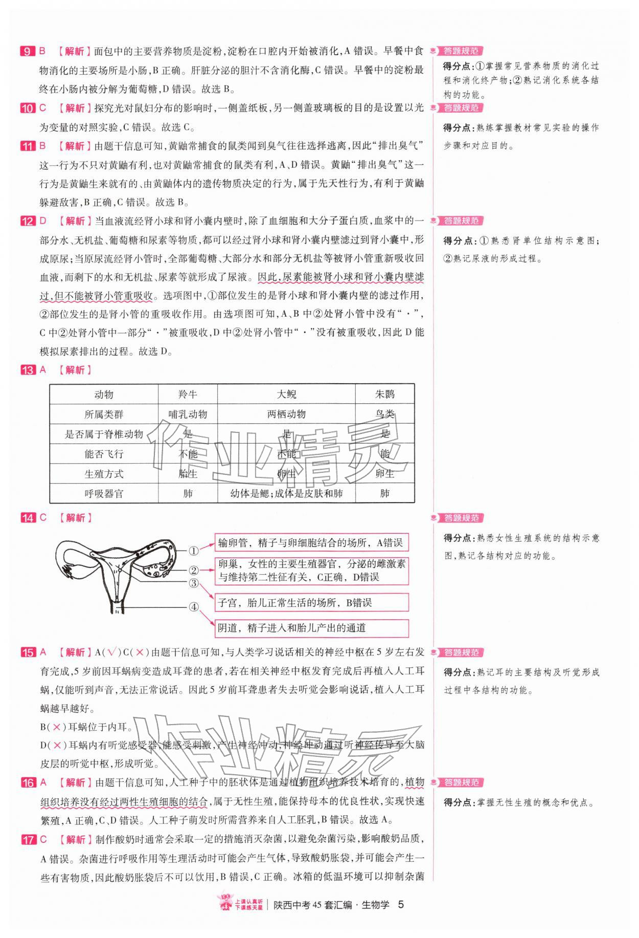 2026年金考卷45套汇编生物中考人教版陕西专版&nbsp;第5页