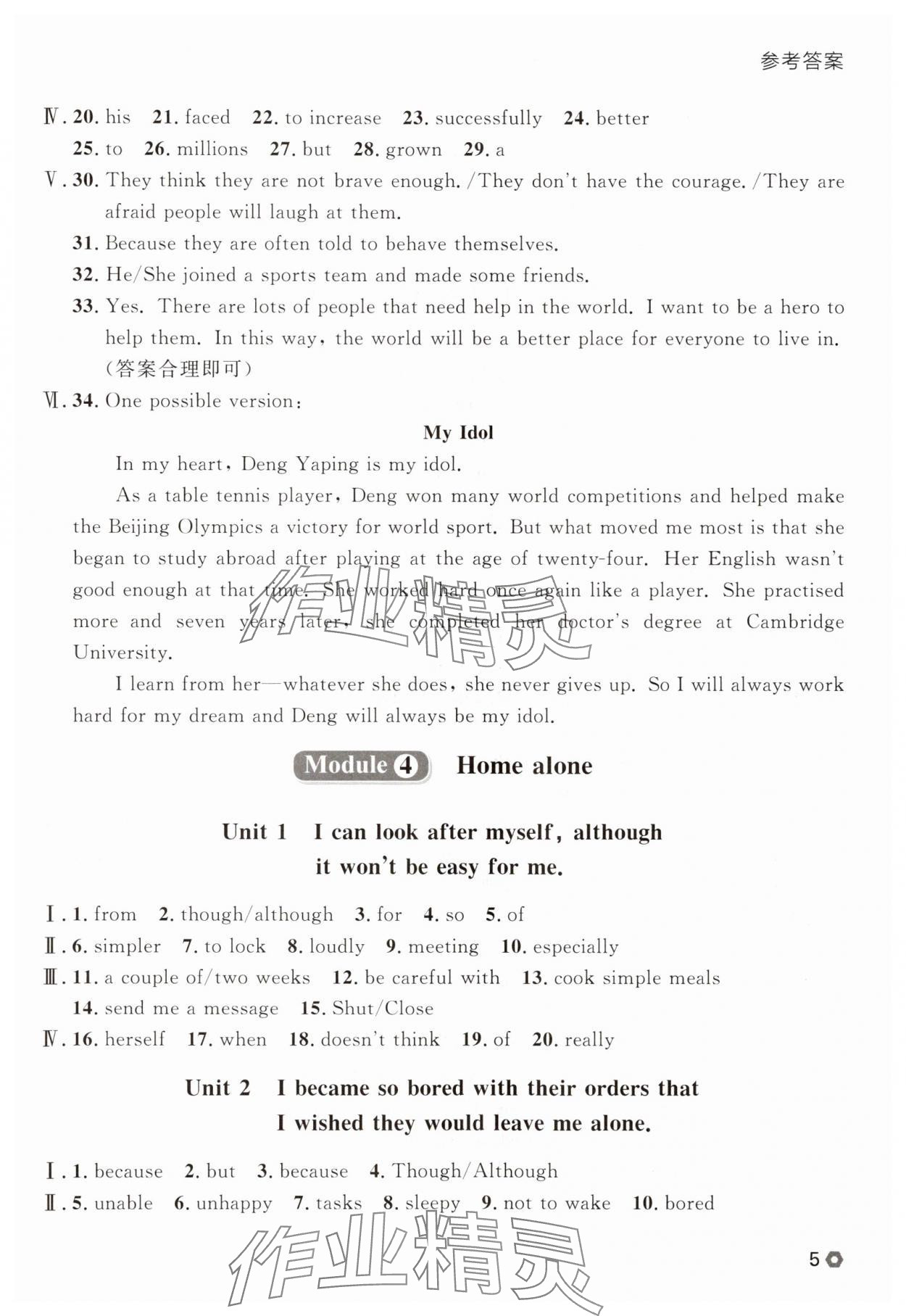 2025年點(diǎn)石成金金牌每課通九年級(jí)英語(yǔ)全一冊(cè)外研版遼寧專(zhuān)版 參考答案第5頁(yè)